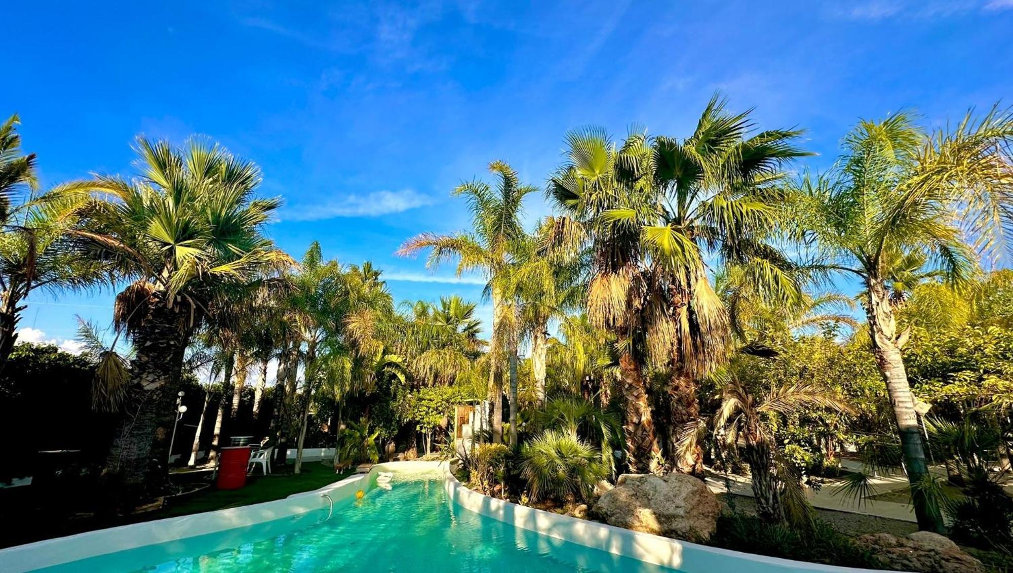 Palm Garden Valencia