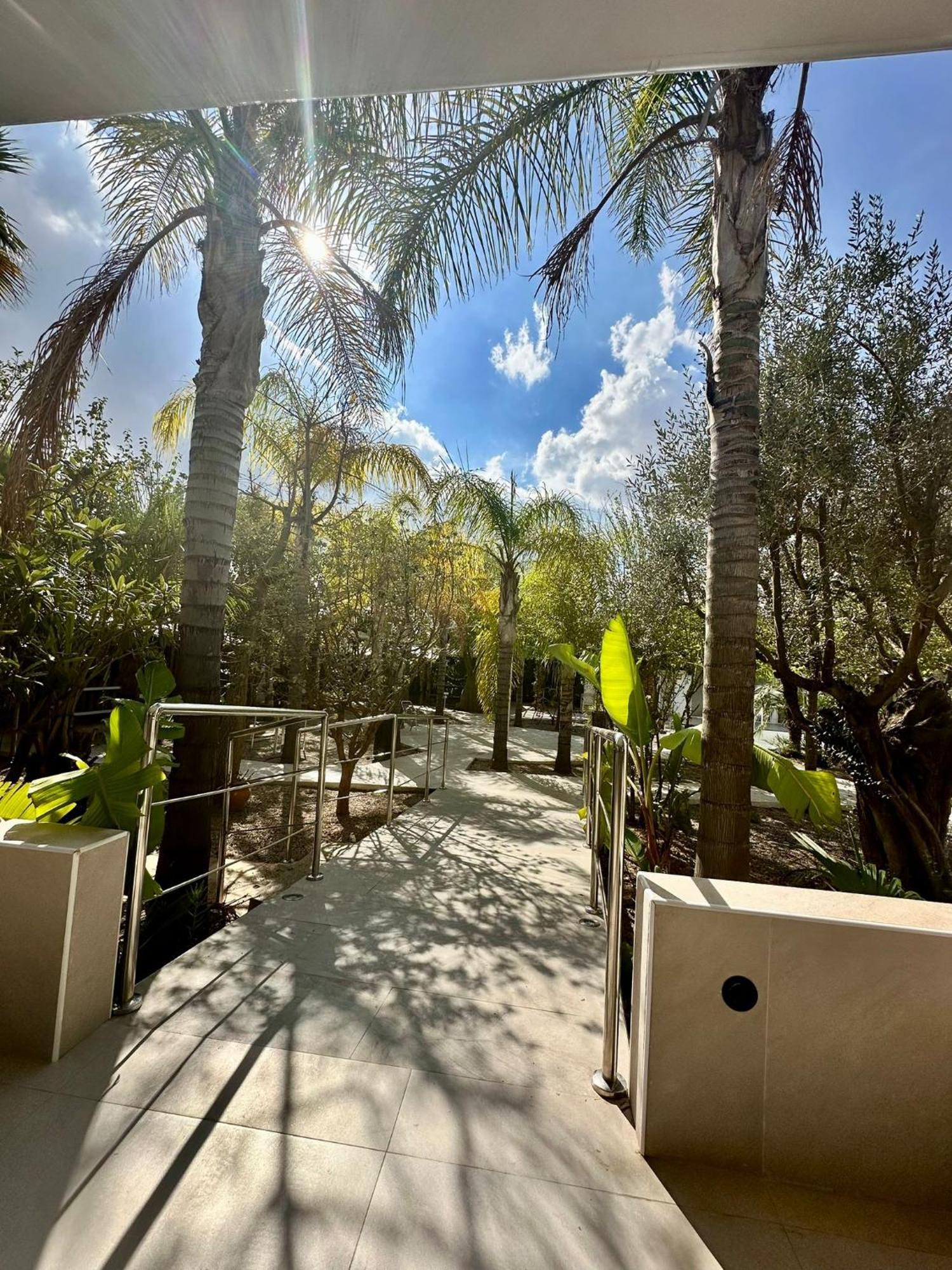 Palm Garden Valencia Villa