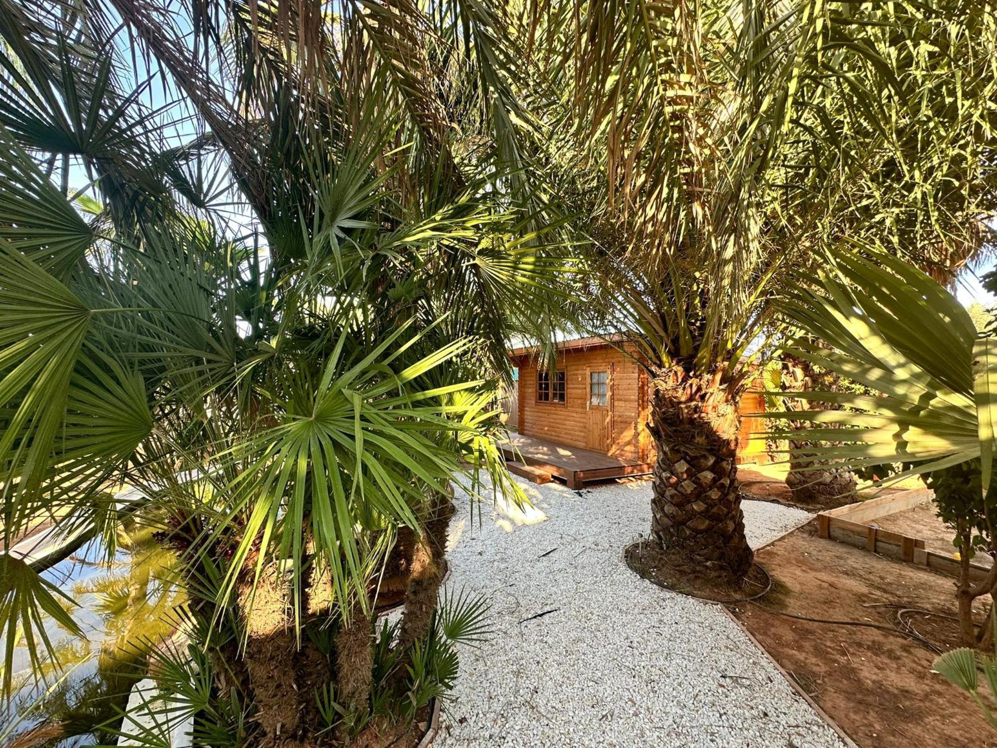 Villa Palm Garden Valencia *