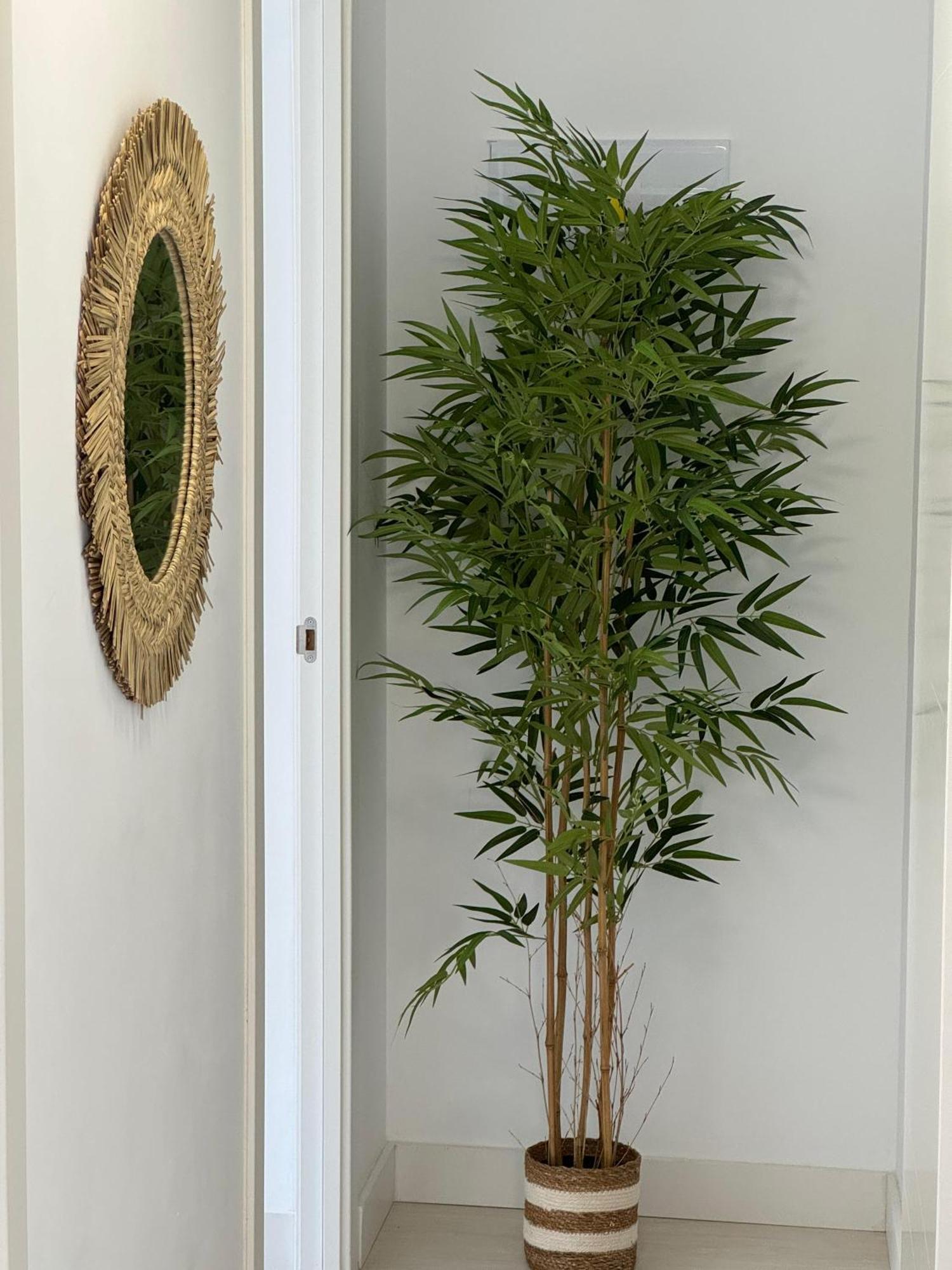 Apartment Departamento Diseno