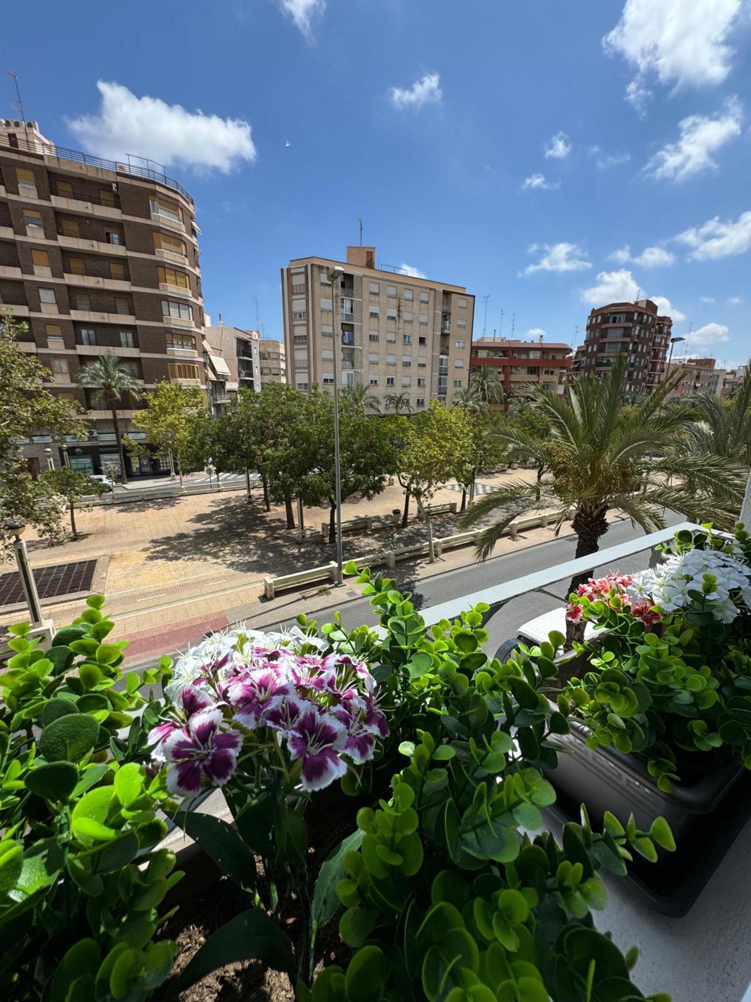 Departamento Diseno Elche