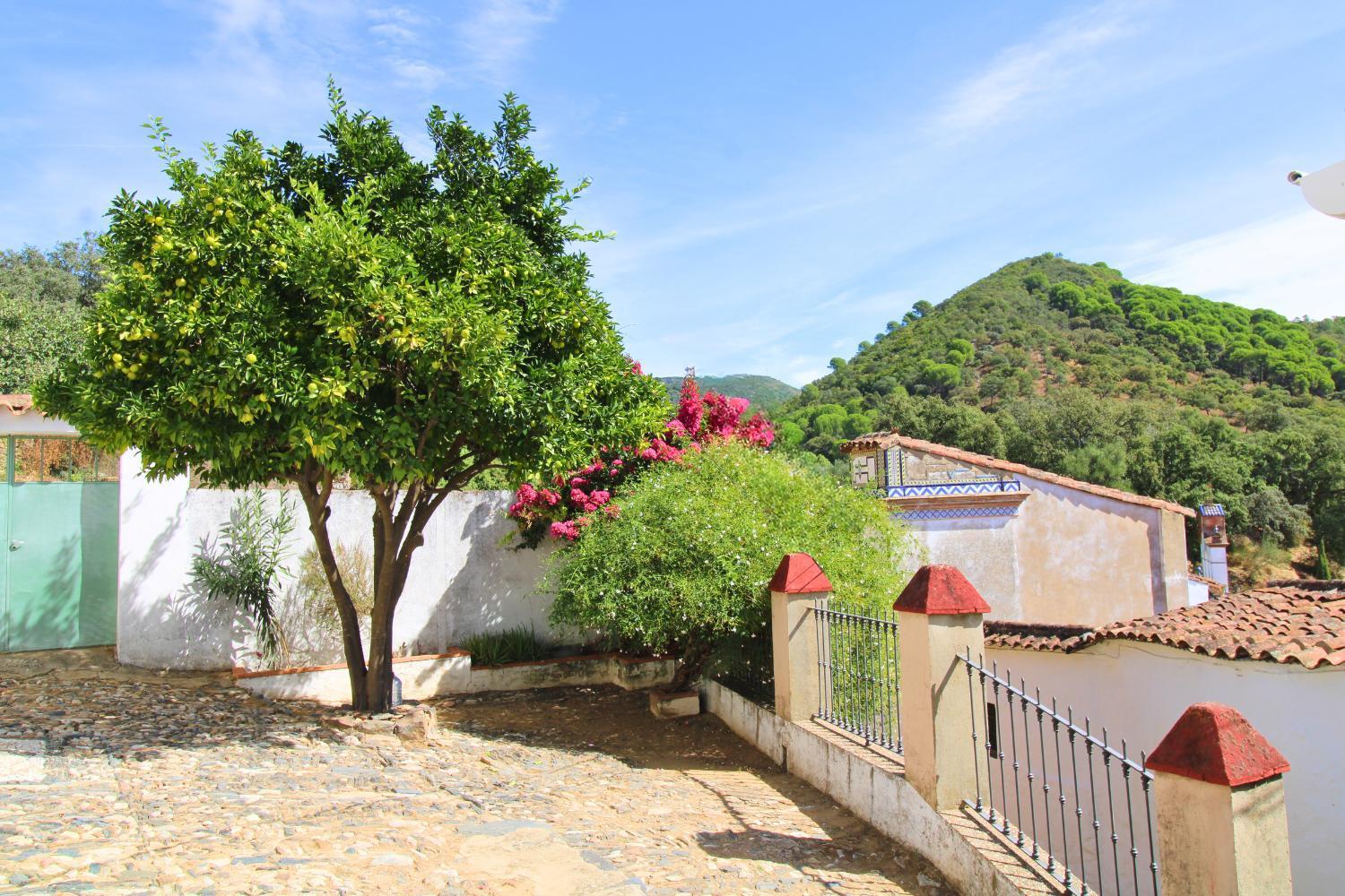 El Mirador Del Naranjo By Sierra Viva Linares de la Sierra