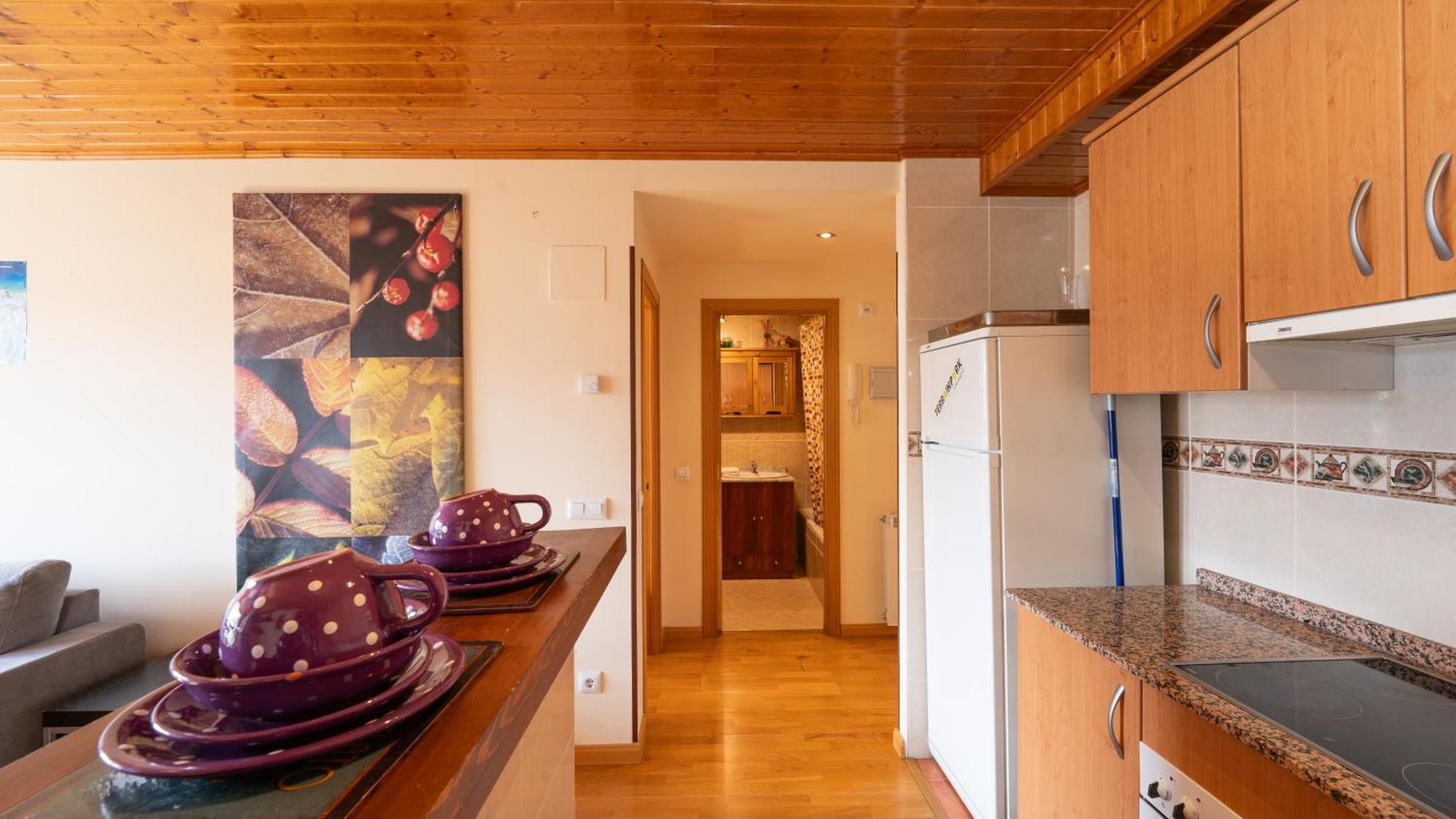 Apartment Apartamentos Formigal Formigal