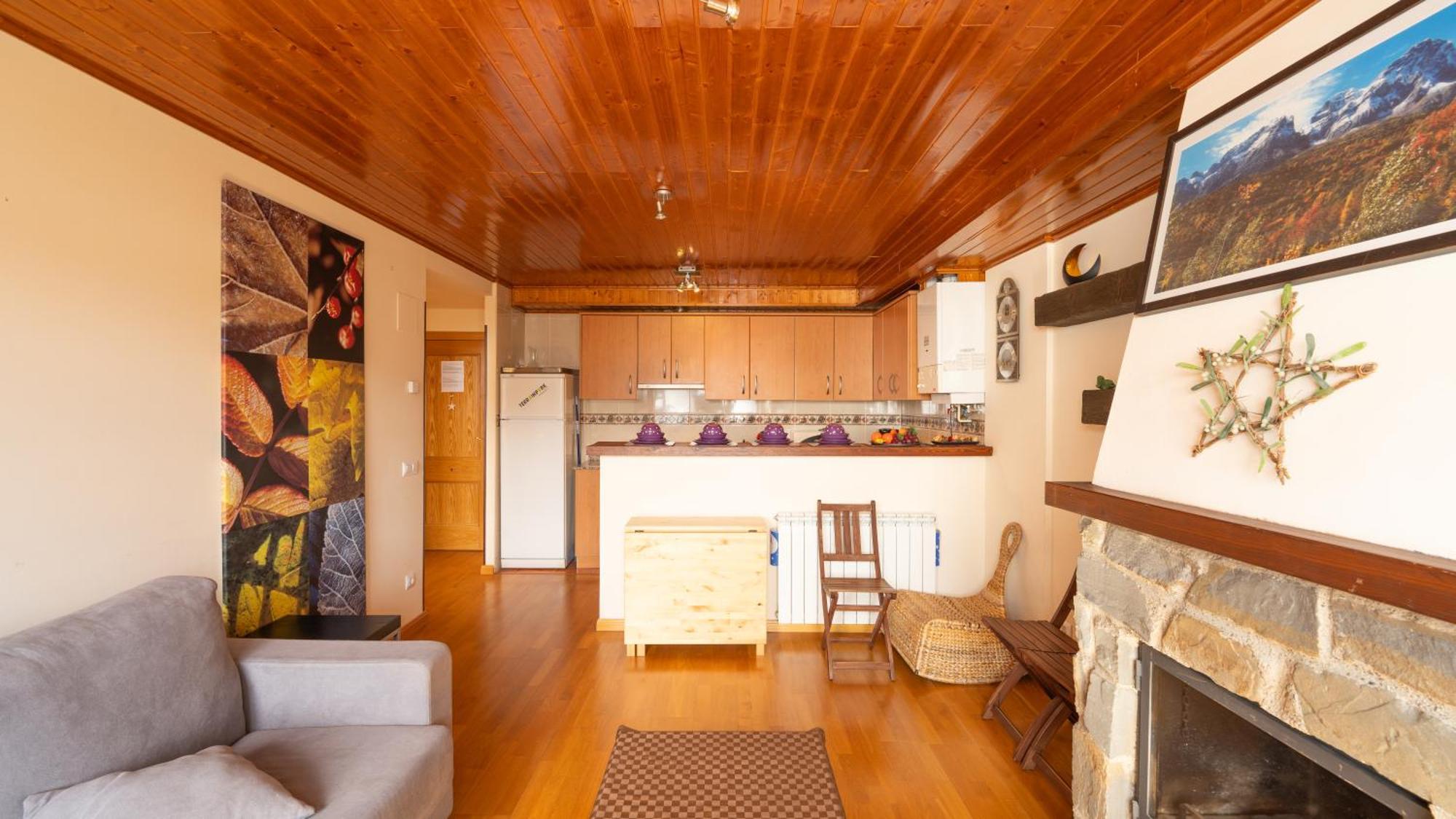 Apartment Apartamentos Formigal Formigal