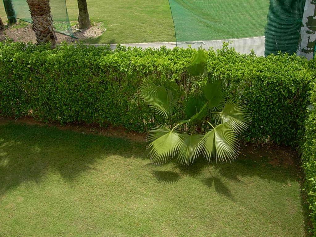 Apartment Coming - Mar Menor *