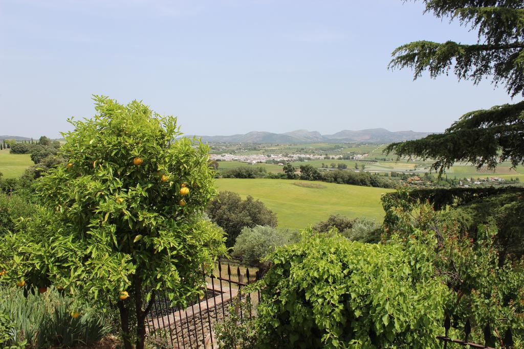 The White Olive Villa *