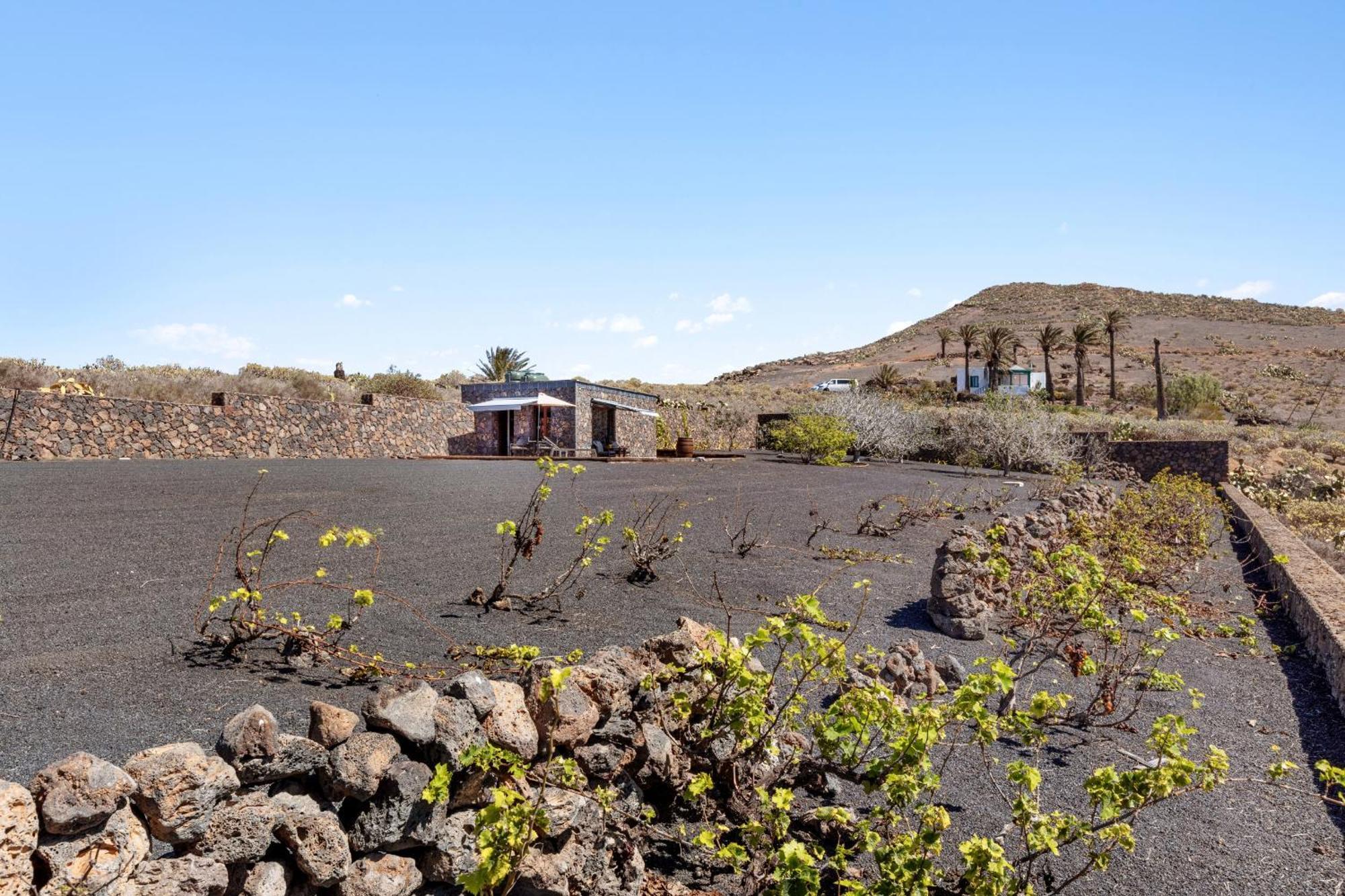 La Molina Lanzarote *