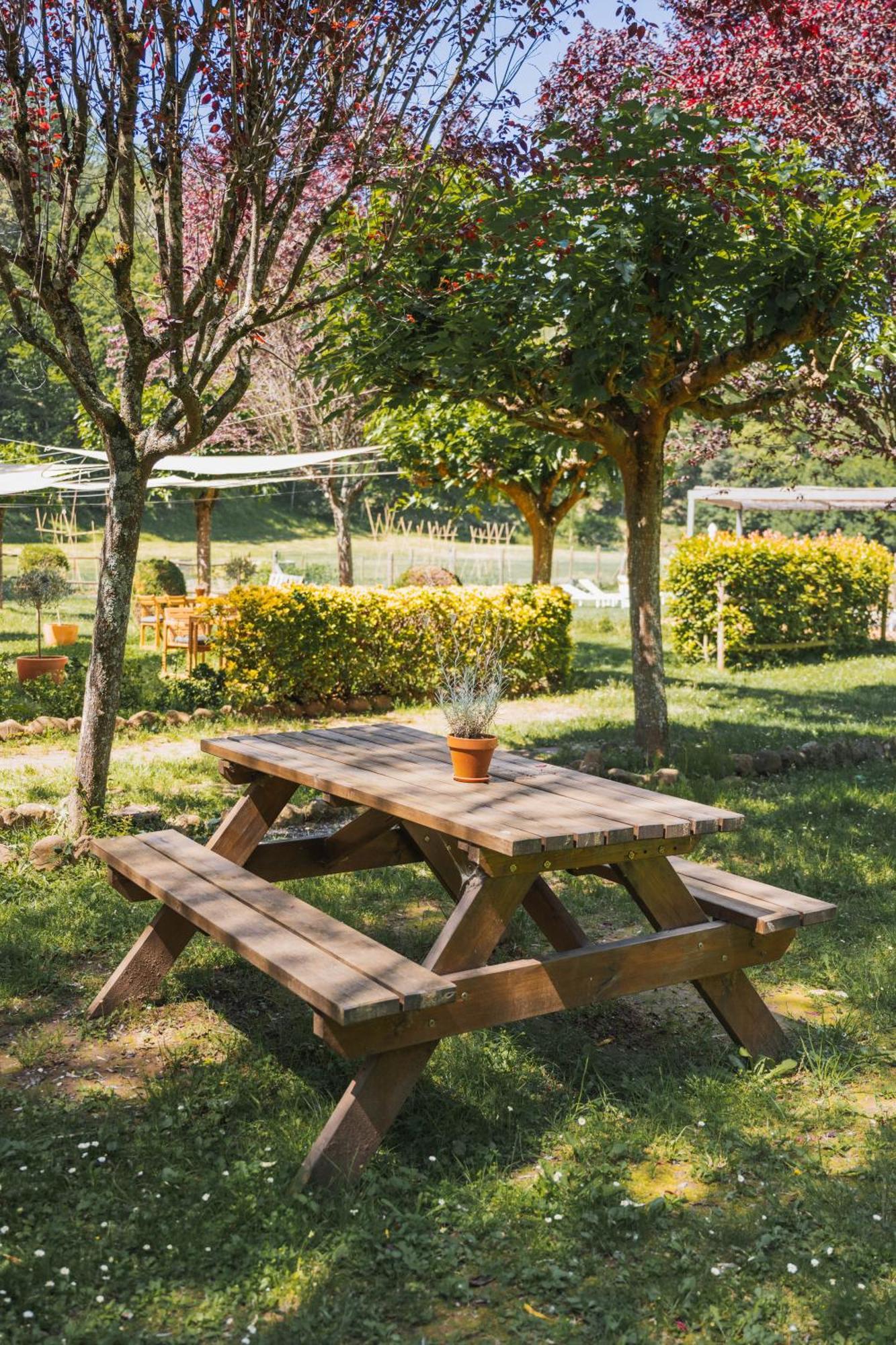 Torrotes Country house