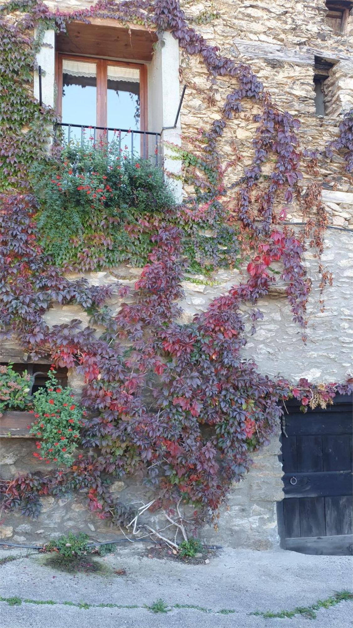 Casa rural Cal Gerard - *