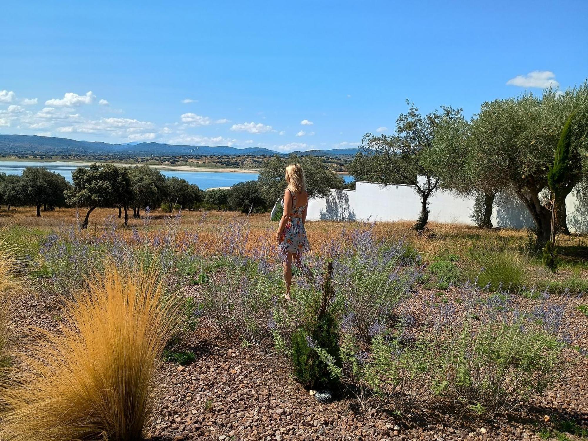 Shenonkop Rural 4*