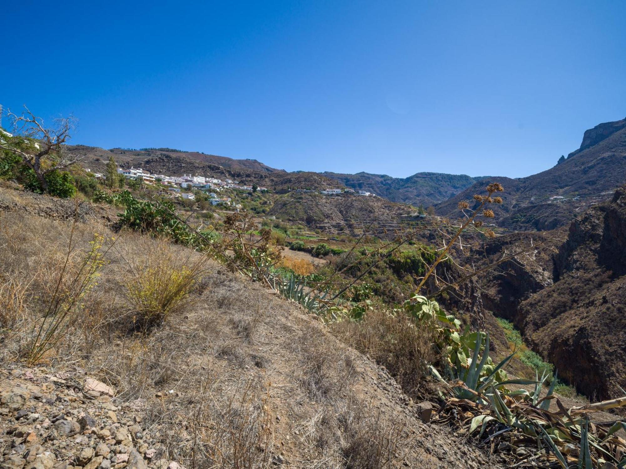 Rural La Montana Tejeda (Gran Canaria)