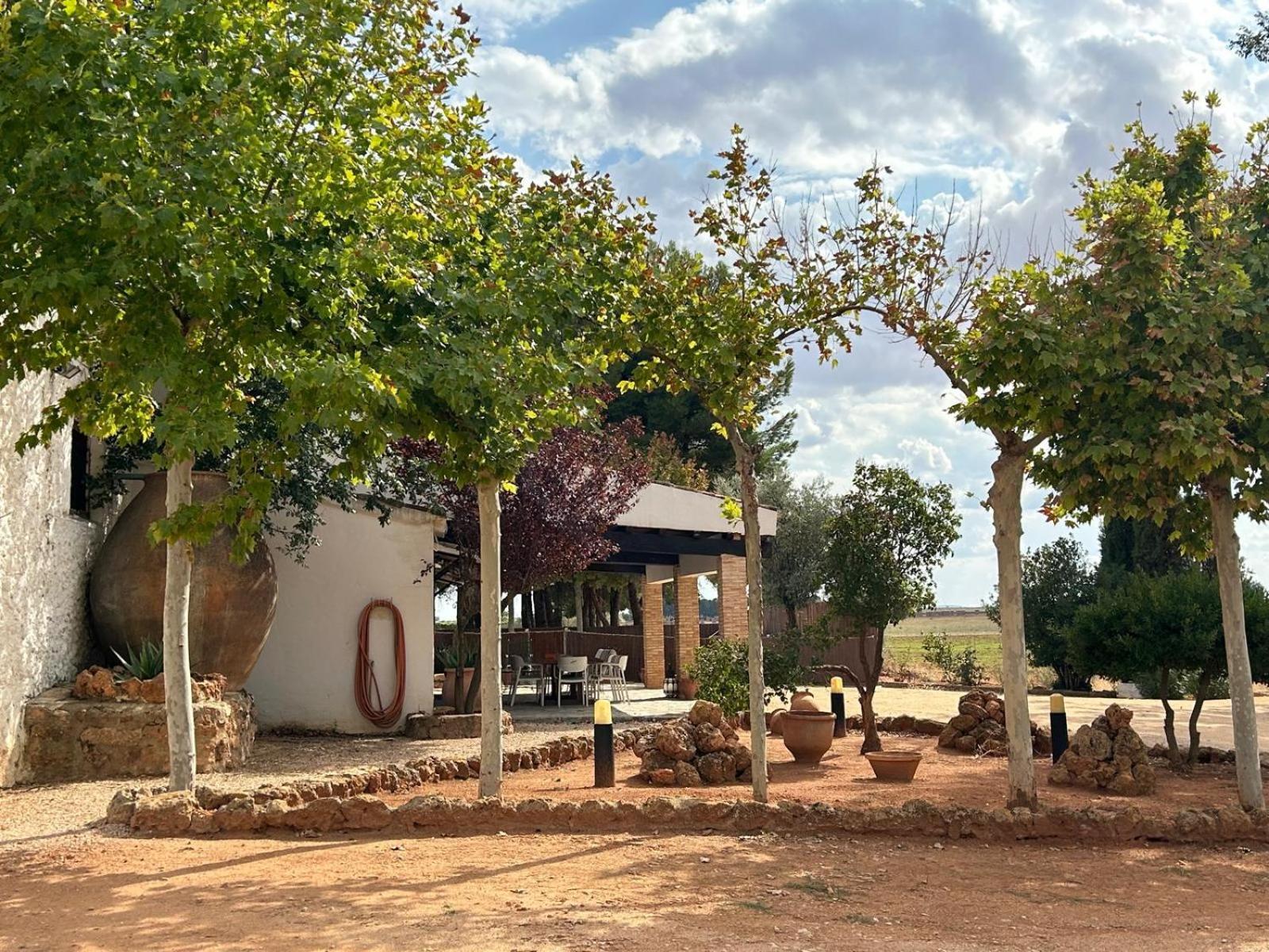 La Huerta De Don Fernando * Villarrobledo