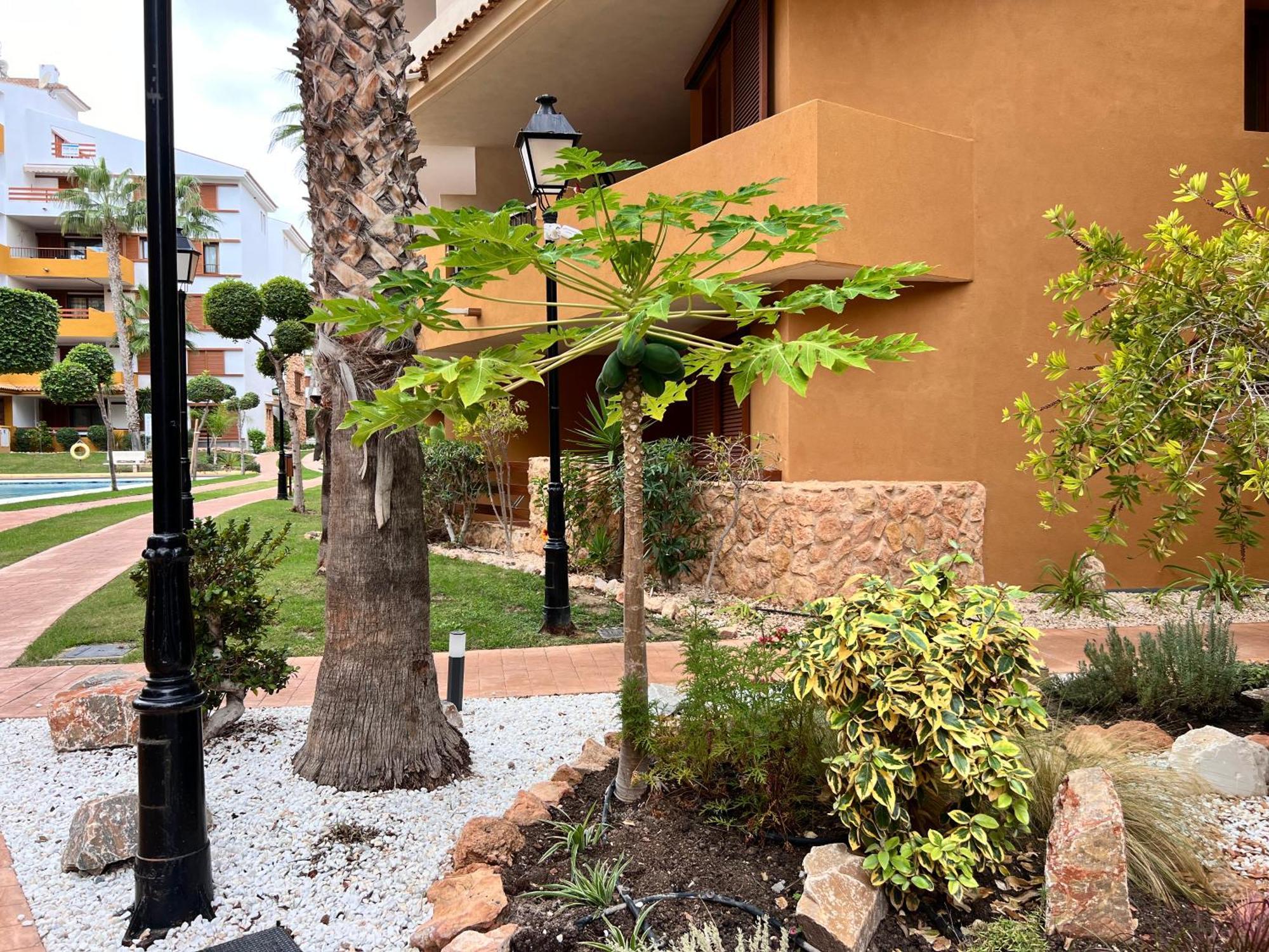 Punta Prima - Sun & & Golf & Bike - Spanish South-facing Terrace - La Recoleta - By The Sea Torrevieja