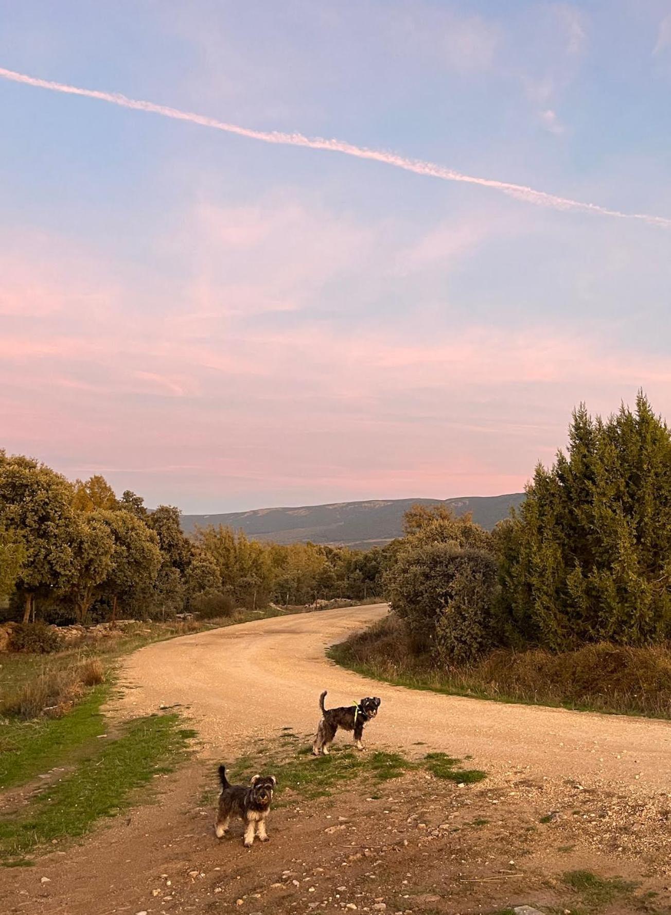 Casa Menta Сasa de vacaciones *