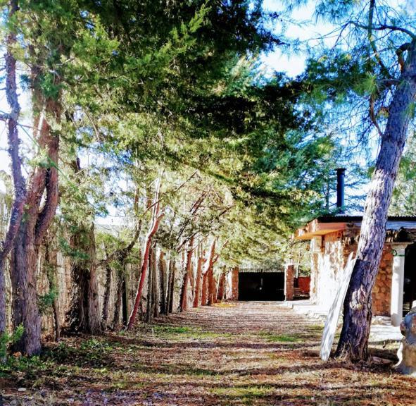 La De Piedra Holiday home
