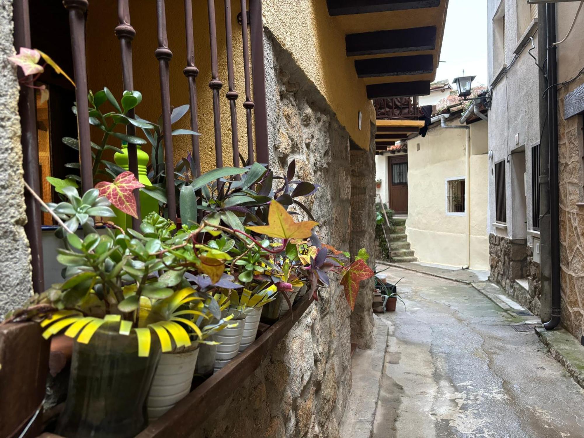 Holiday home Casa Artista *