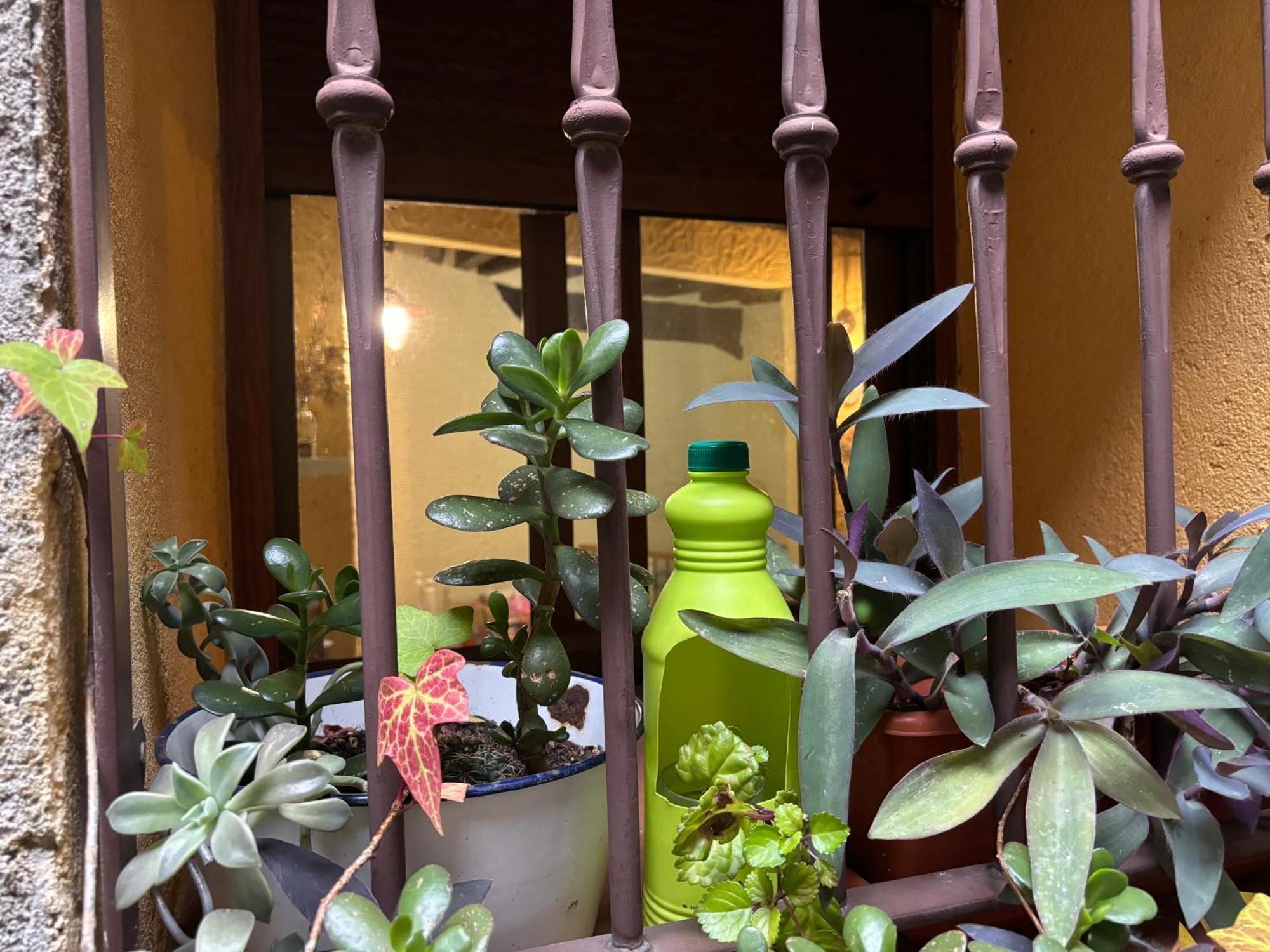 Casa Artista