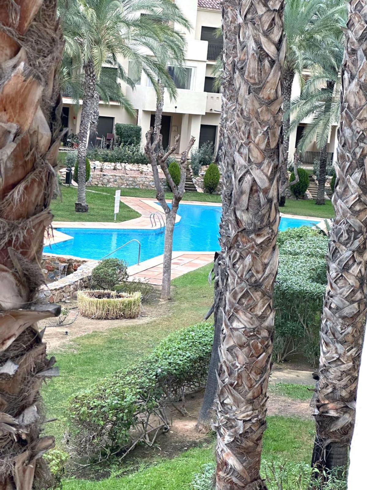 El Oasis De Palmeras @ Roda Golf & * San Javier