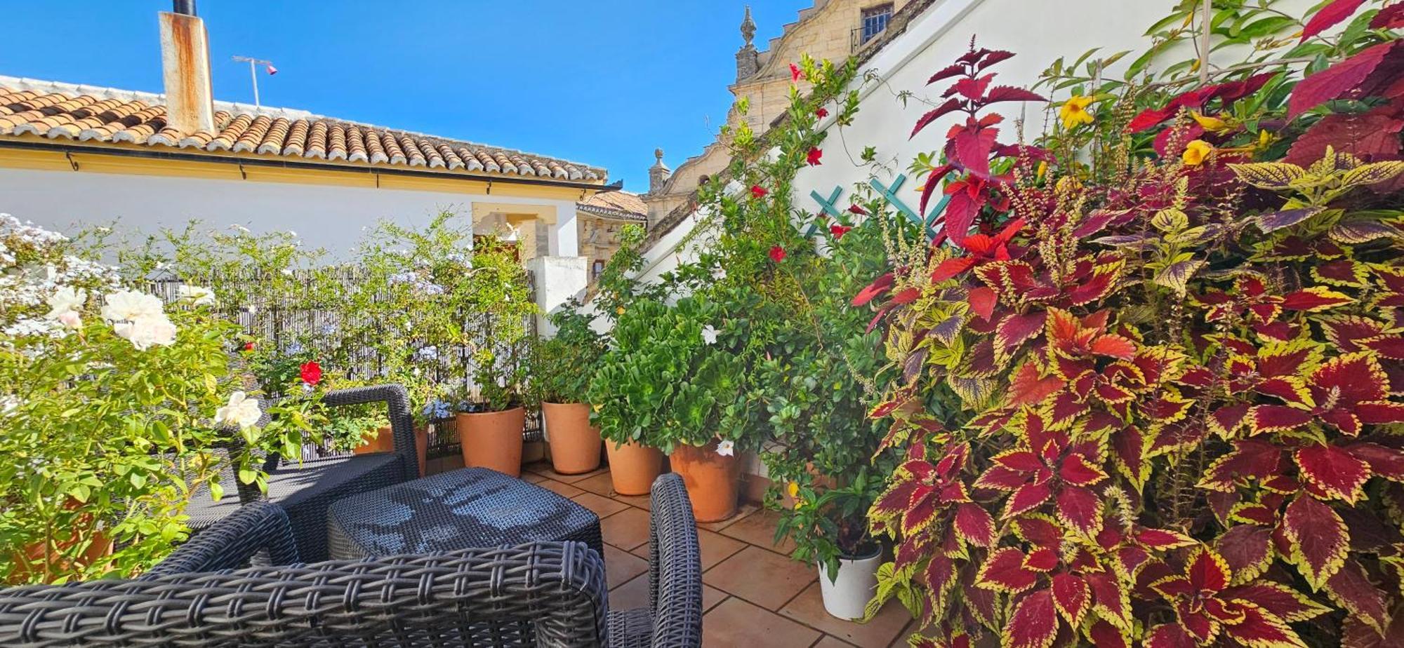 Descalzos ángel Apartamento Ronda