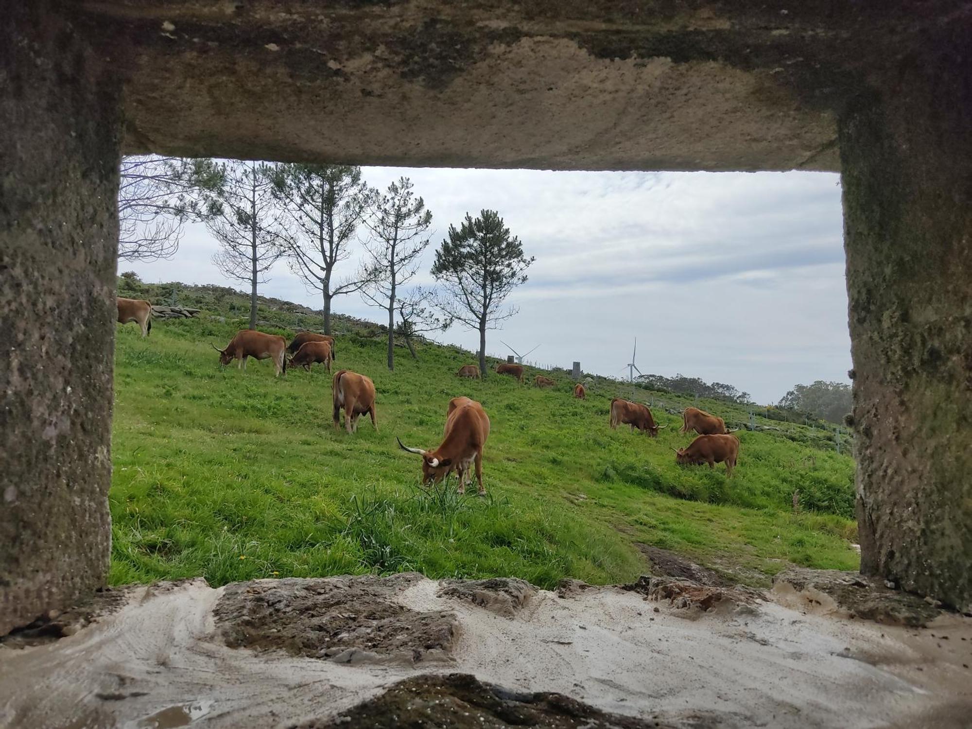 A Vixia Do Roncudo Chalet Corme