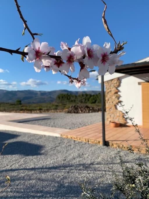 La Llobatera Chalet Les Coves de Vinroma