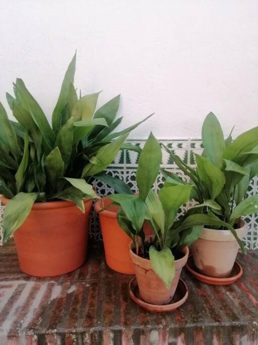 Apartamento Lacasadesowsam *
