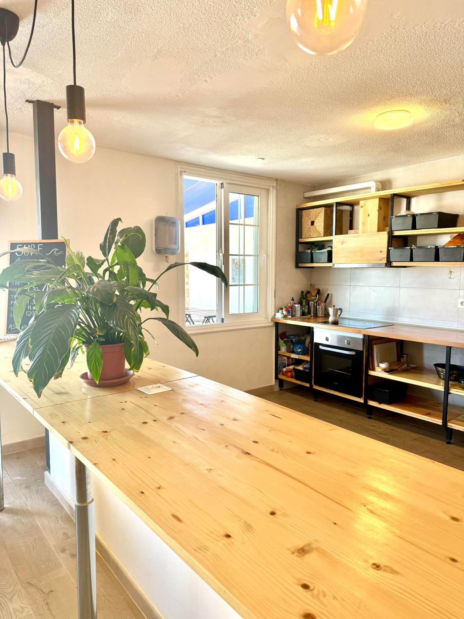 Hostel Endless Summer House (adults Only)