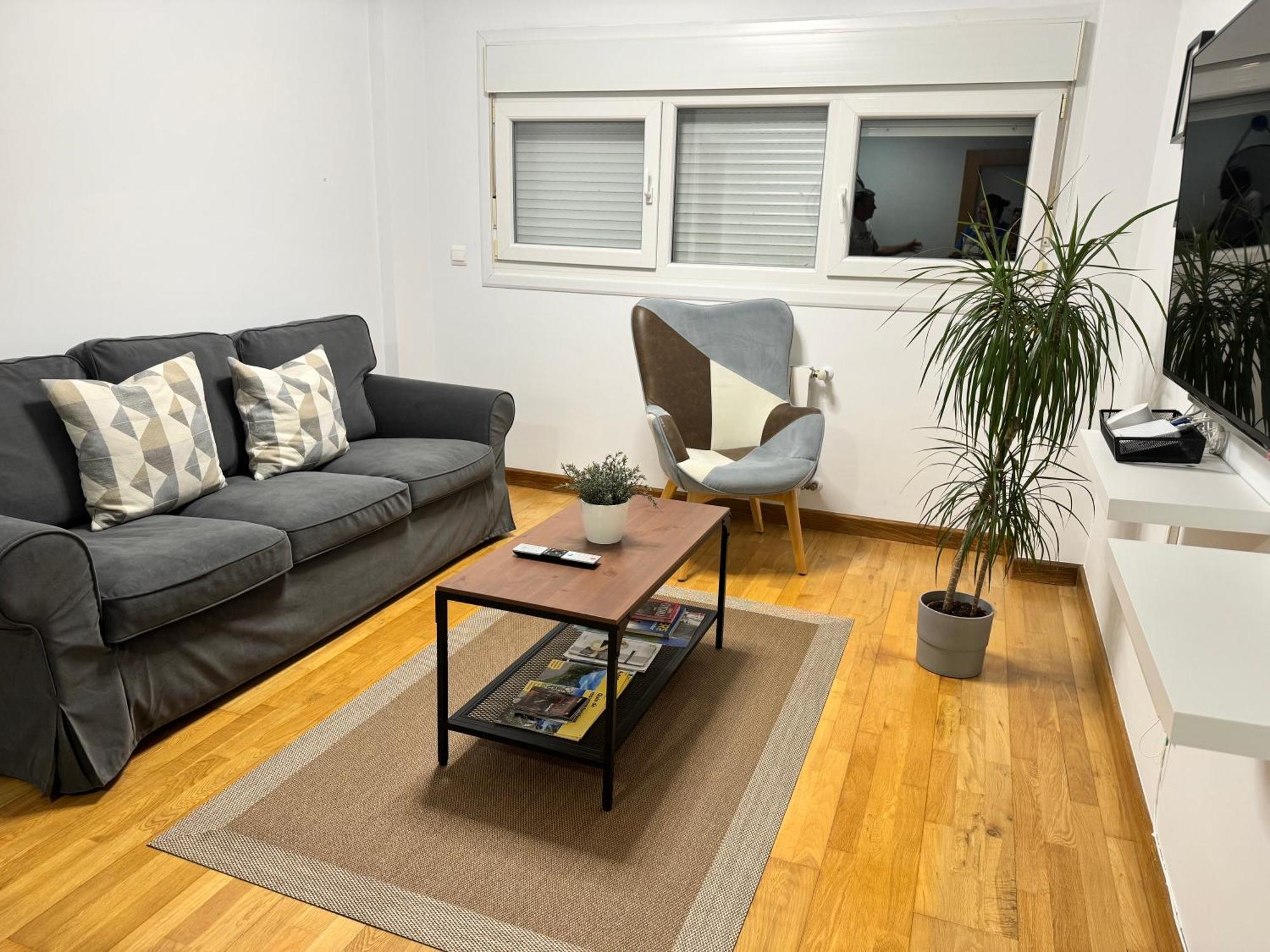 Olga Cantabria Apartment Polanco