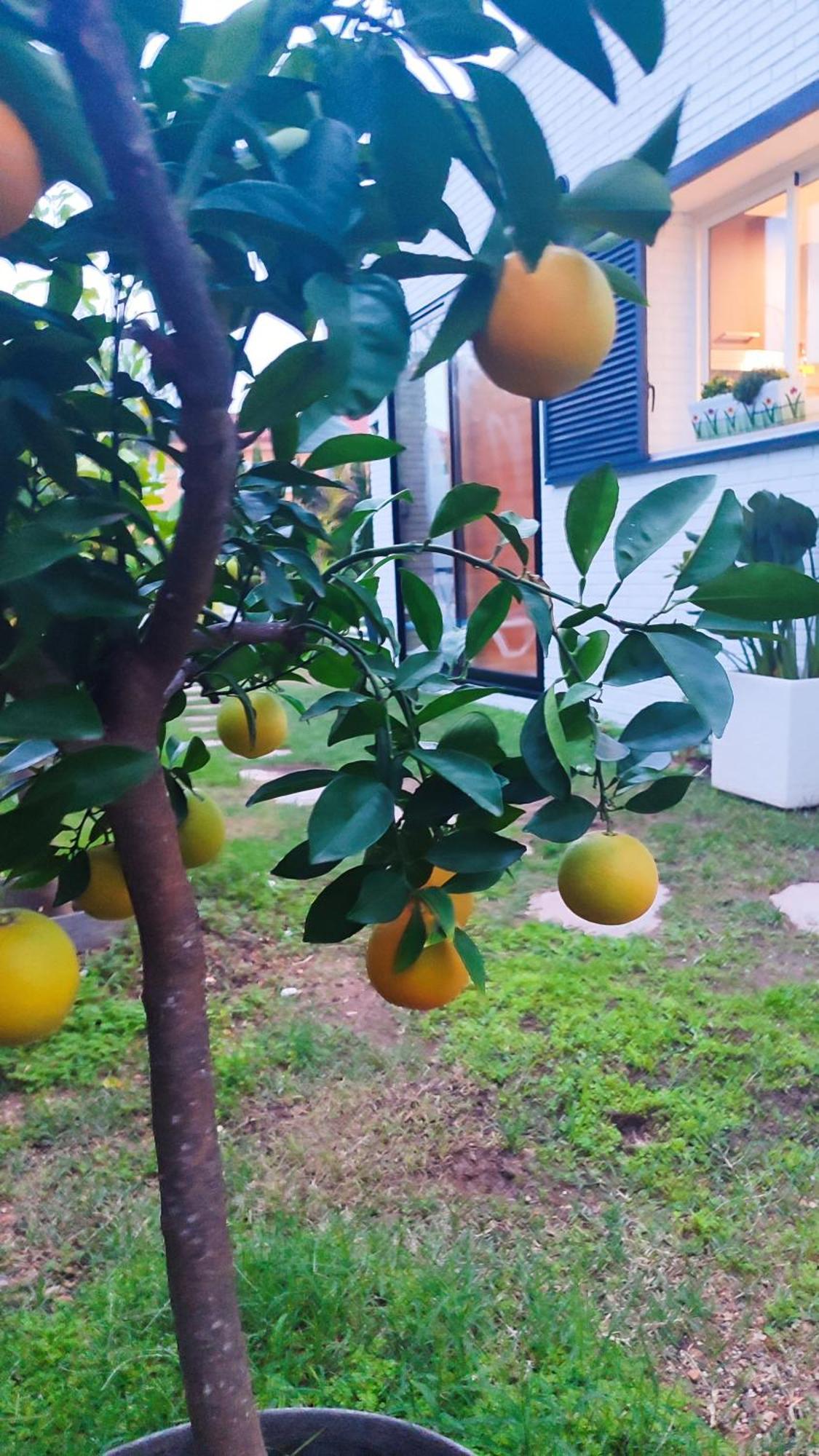 Lujosa Con Spa, Piscina Y Sala De Juegos Privados Villa *