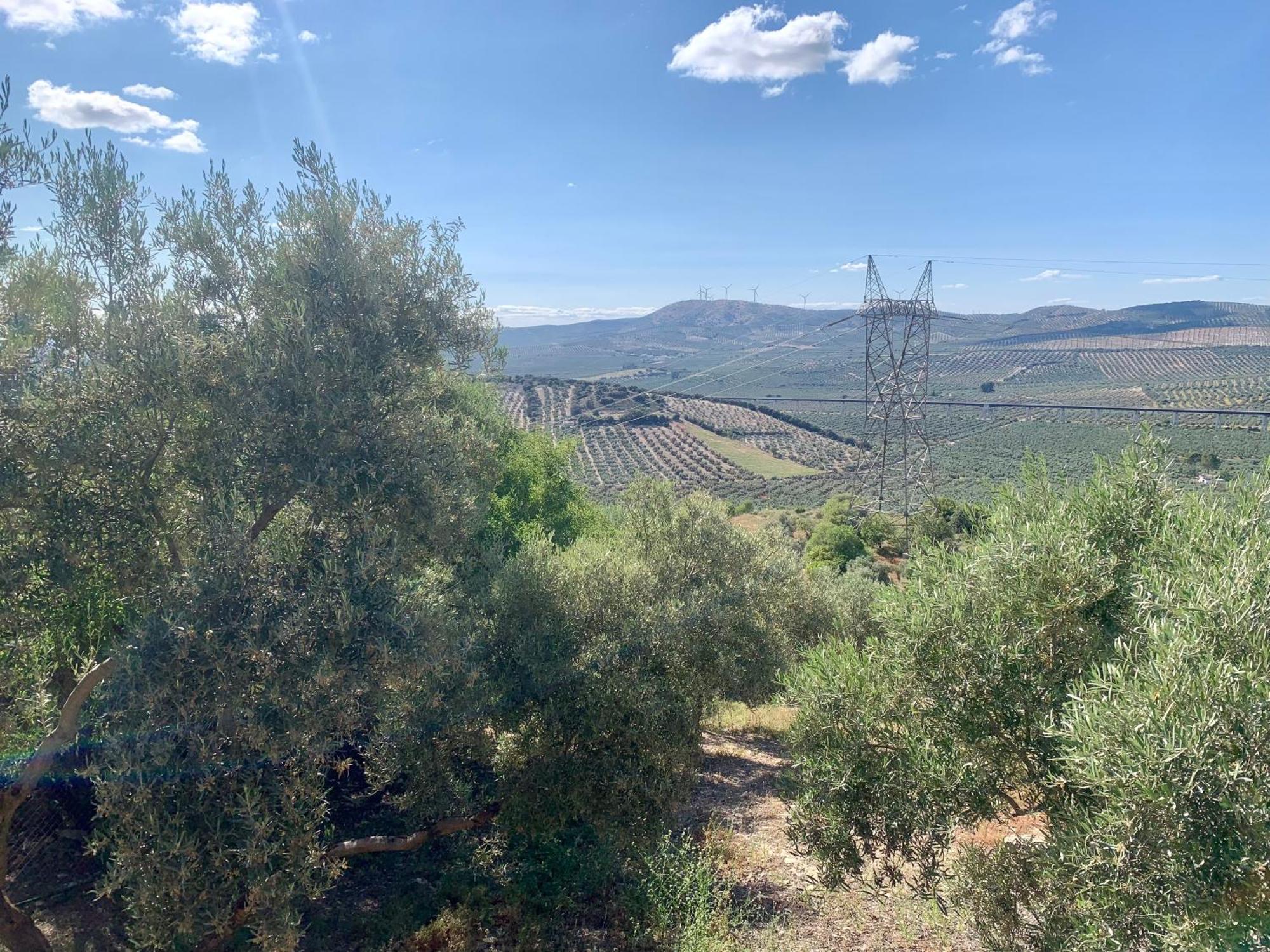 Casa rural La Ladera *