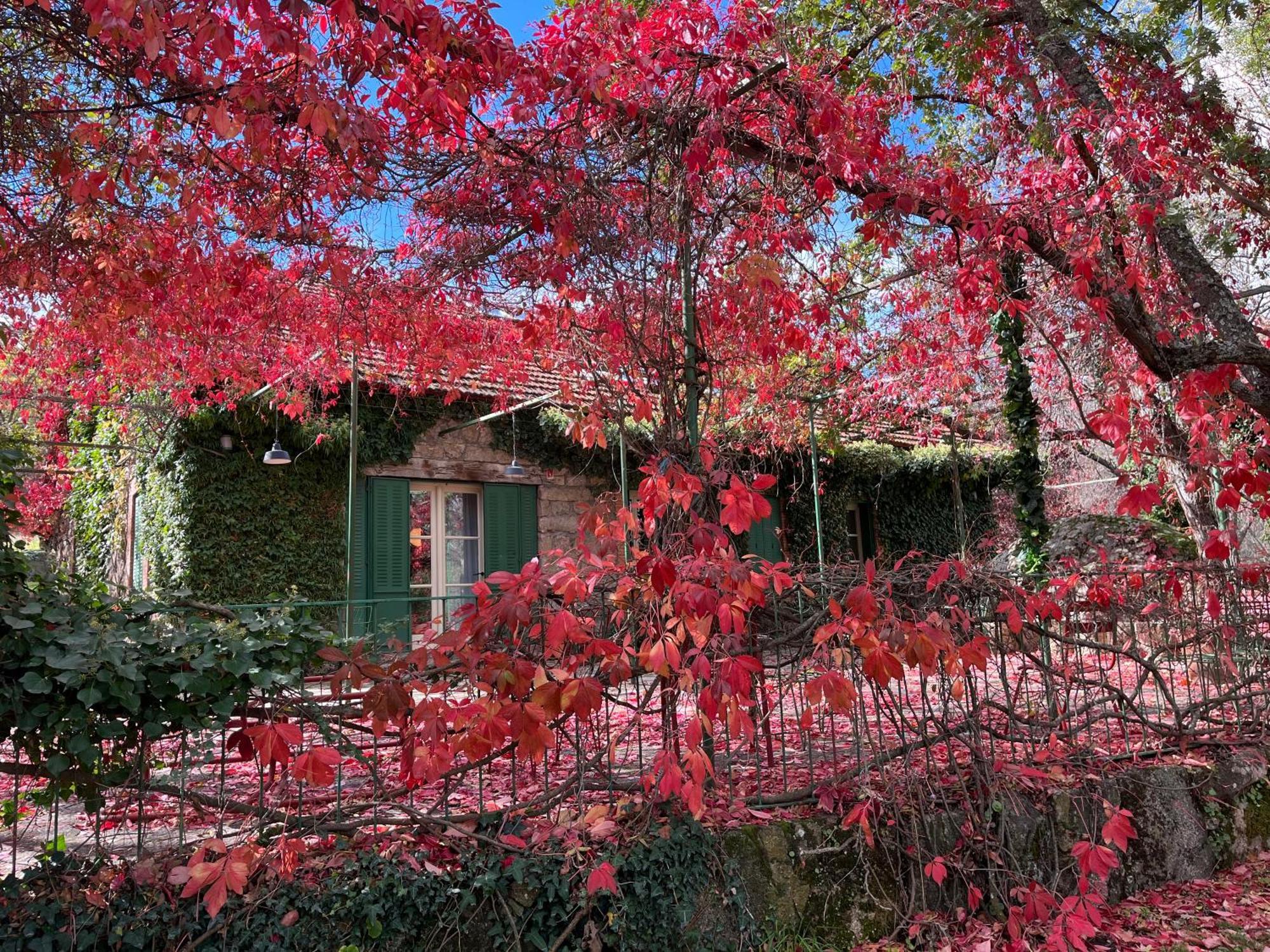 La Machota Centro De Naturaleza Peralejo