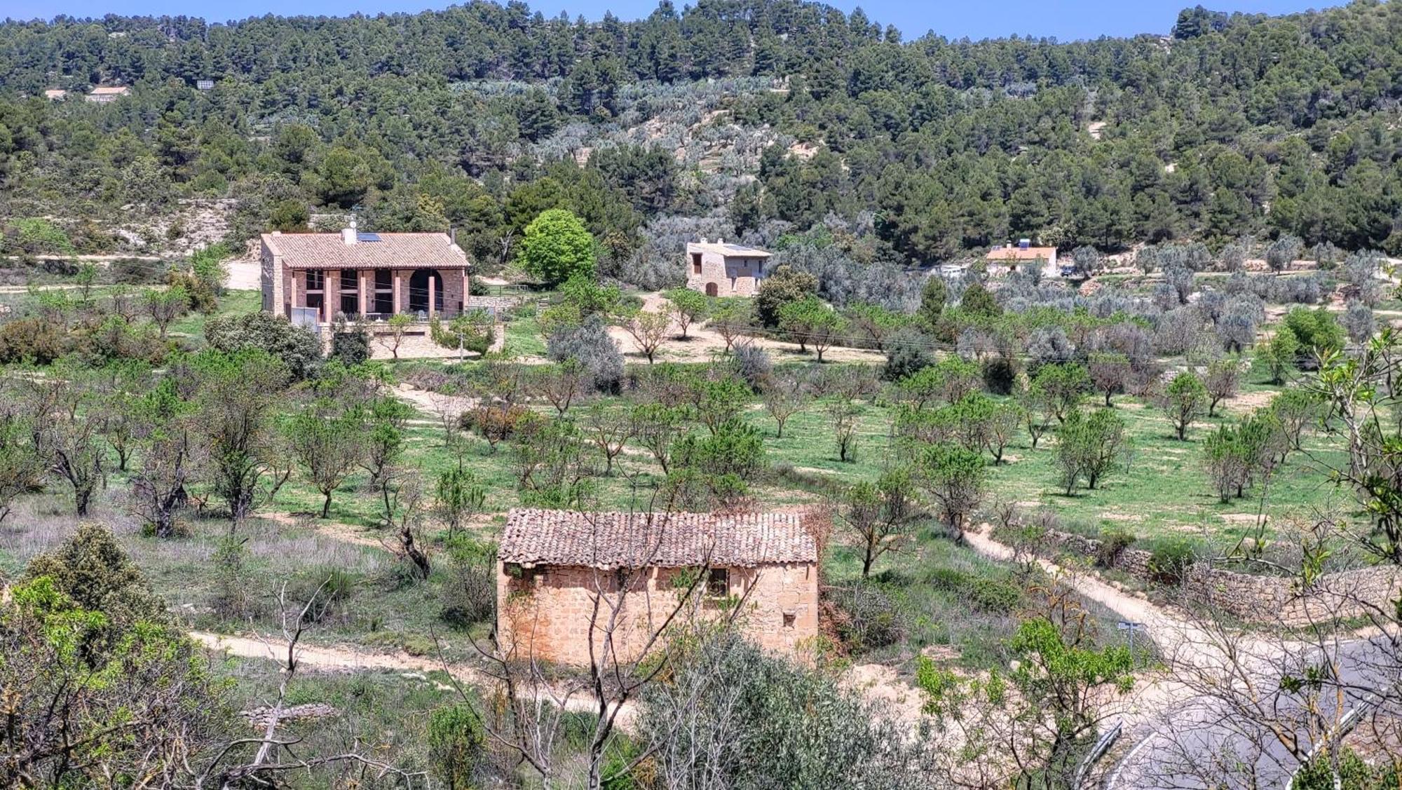 Mas De La Font Lledo