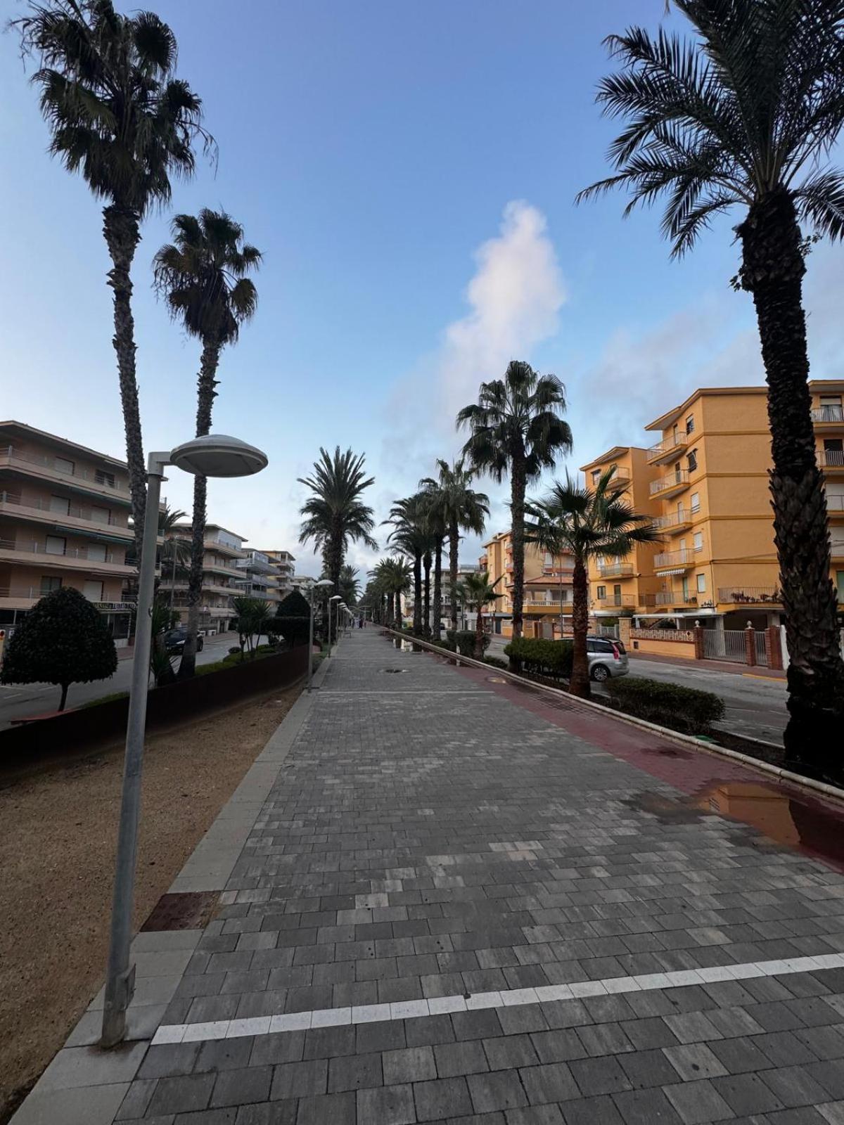 Entero Primera Linea De Playa, Pet Friendly Apartamento *