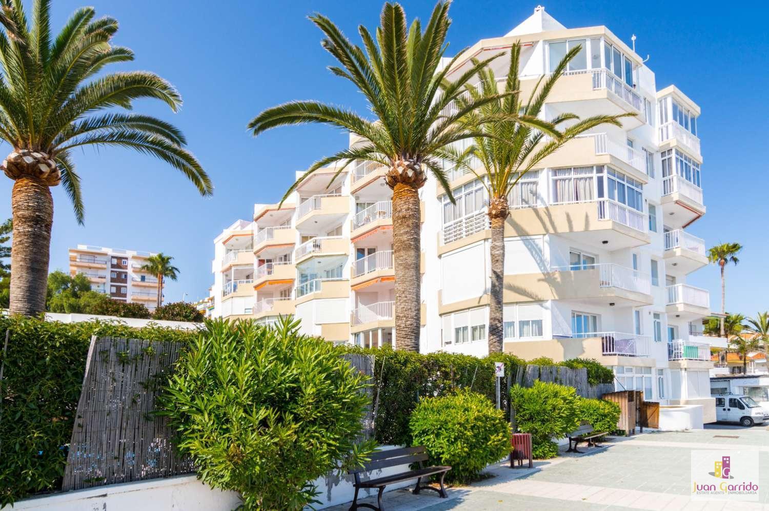 Torrecilla Apartment *