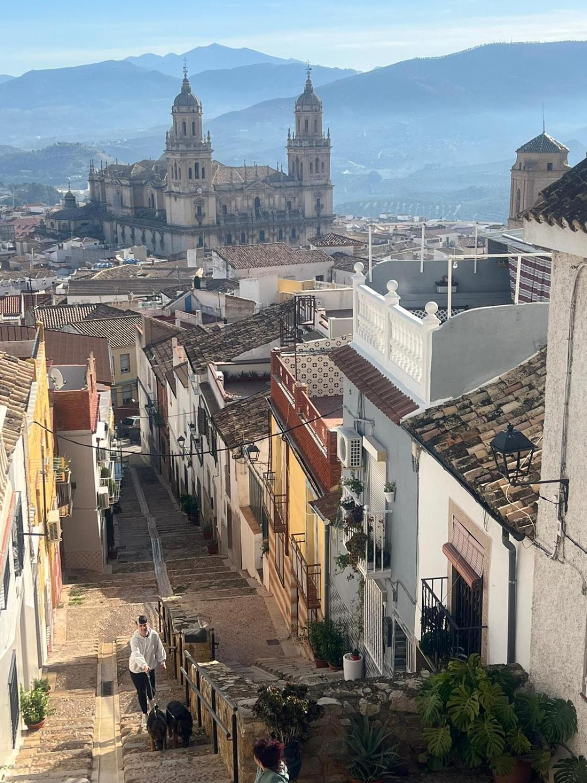 Atico Catedral Apartment *