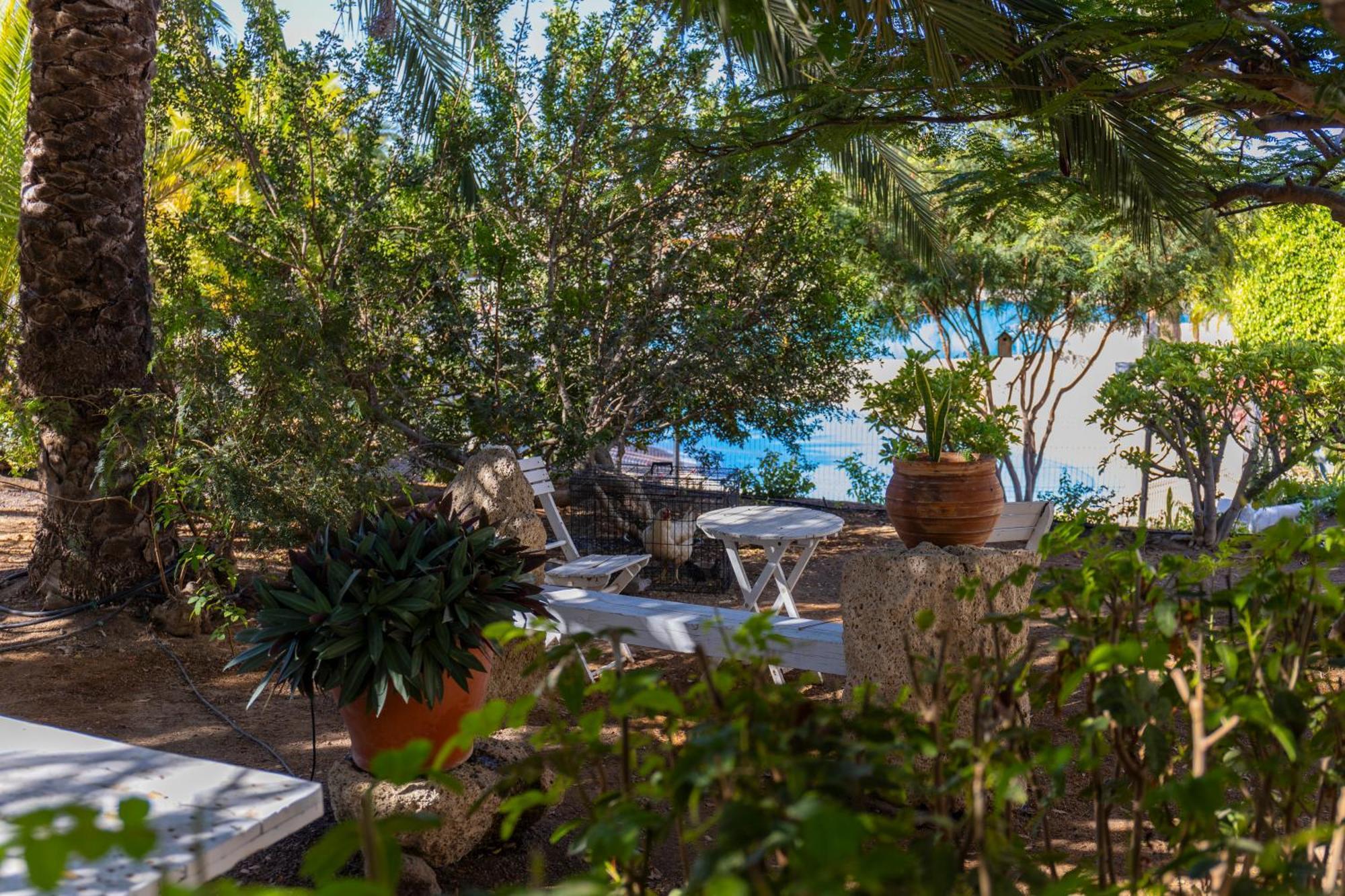 Apartamento Vista Eden - Cristianos, Ocean View, Grill, Pool