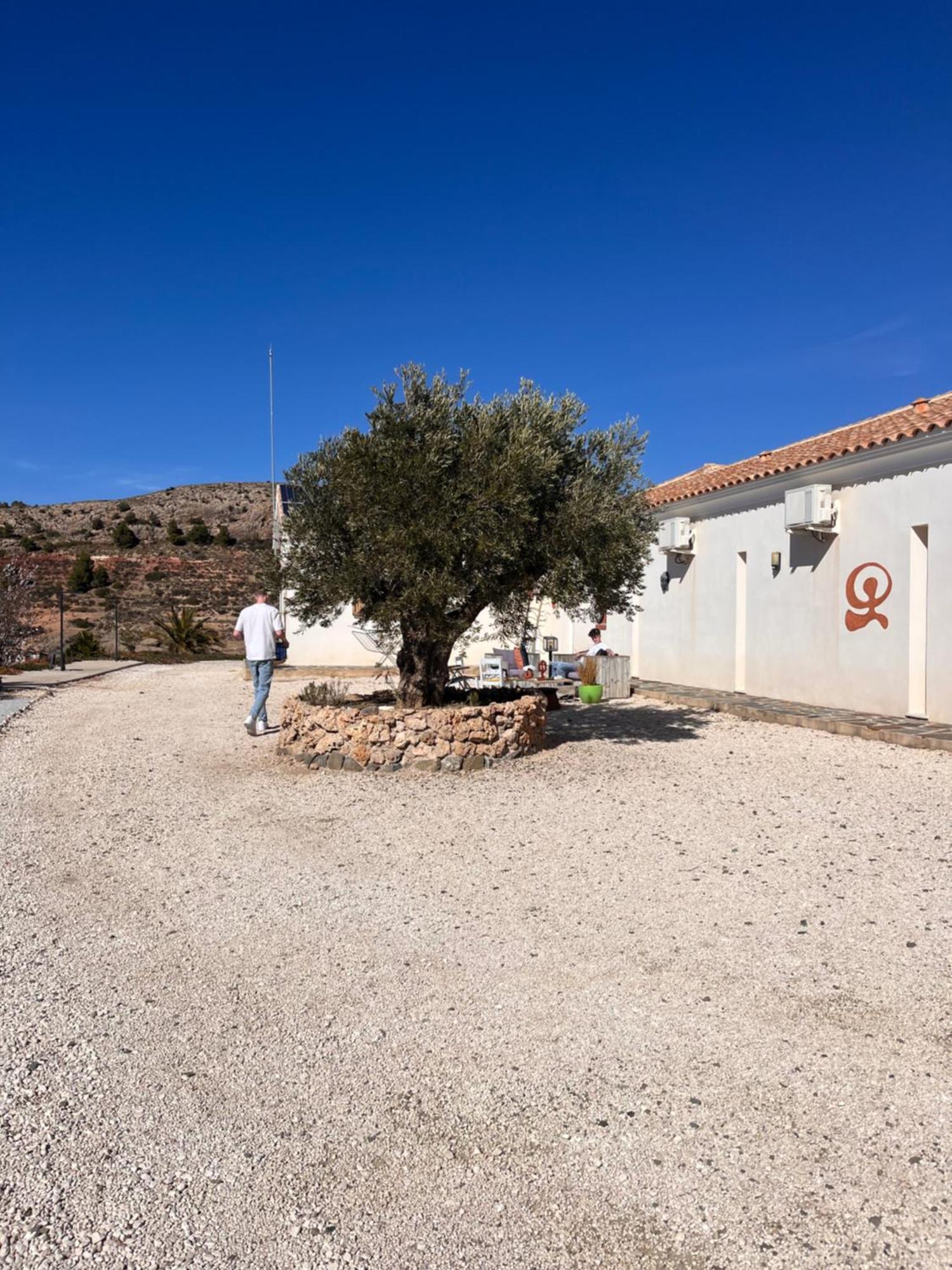 Casa Lamberdina Bed and breakfast Fuensanta (Murcia)