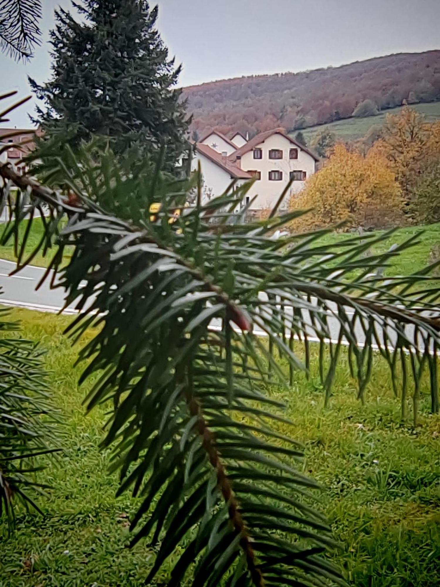 Apartment Goizeder