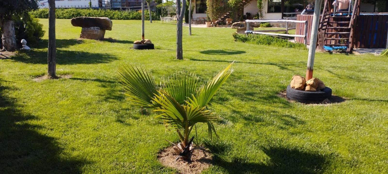 Pajaros