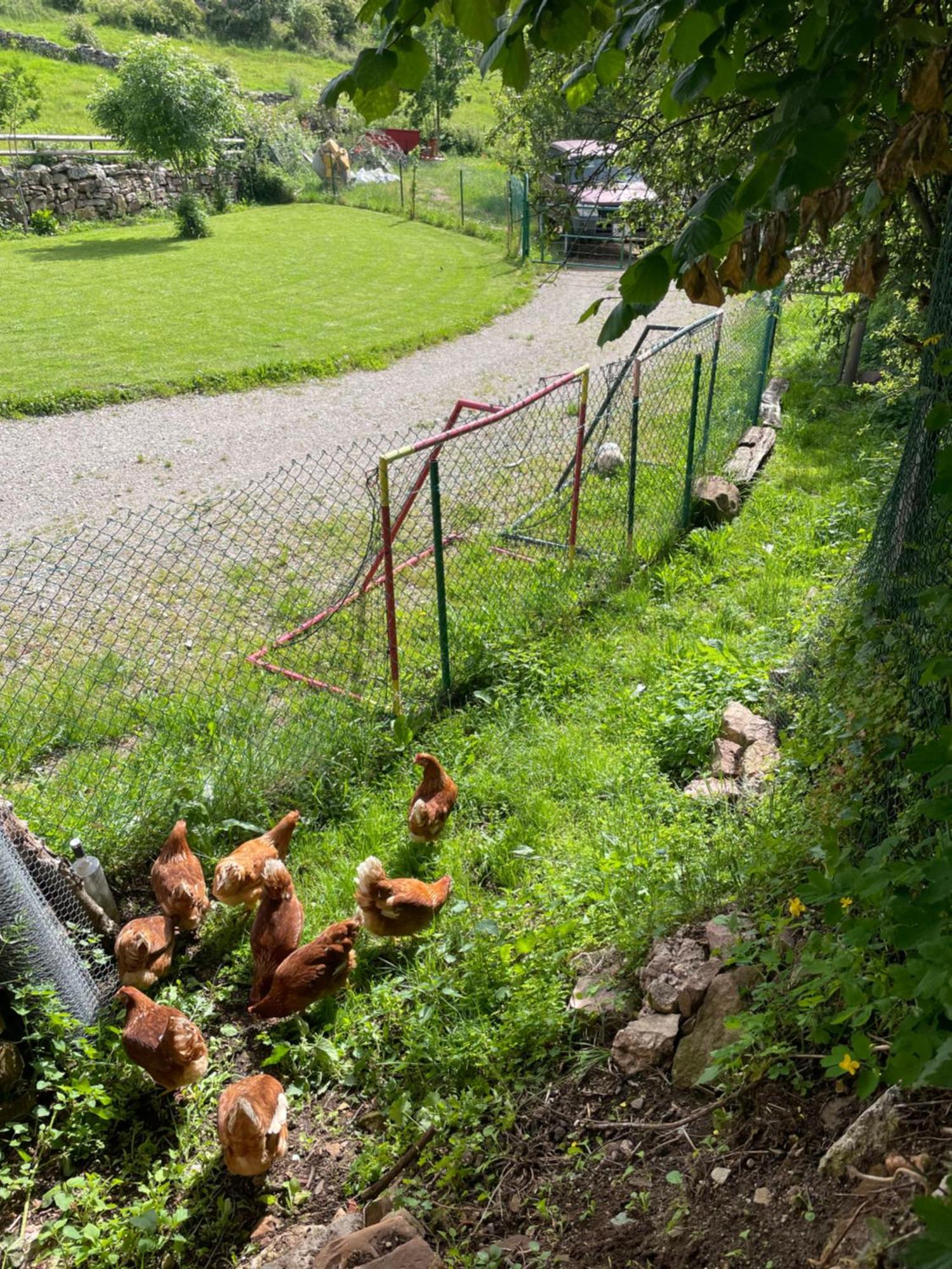 Chozos De La Braña Chalet Branosera