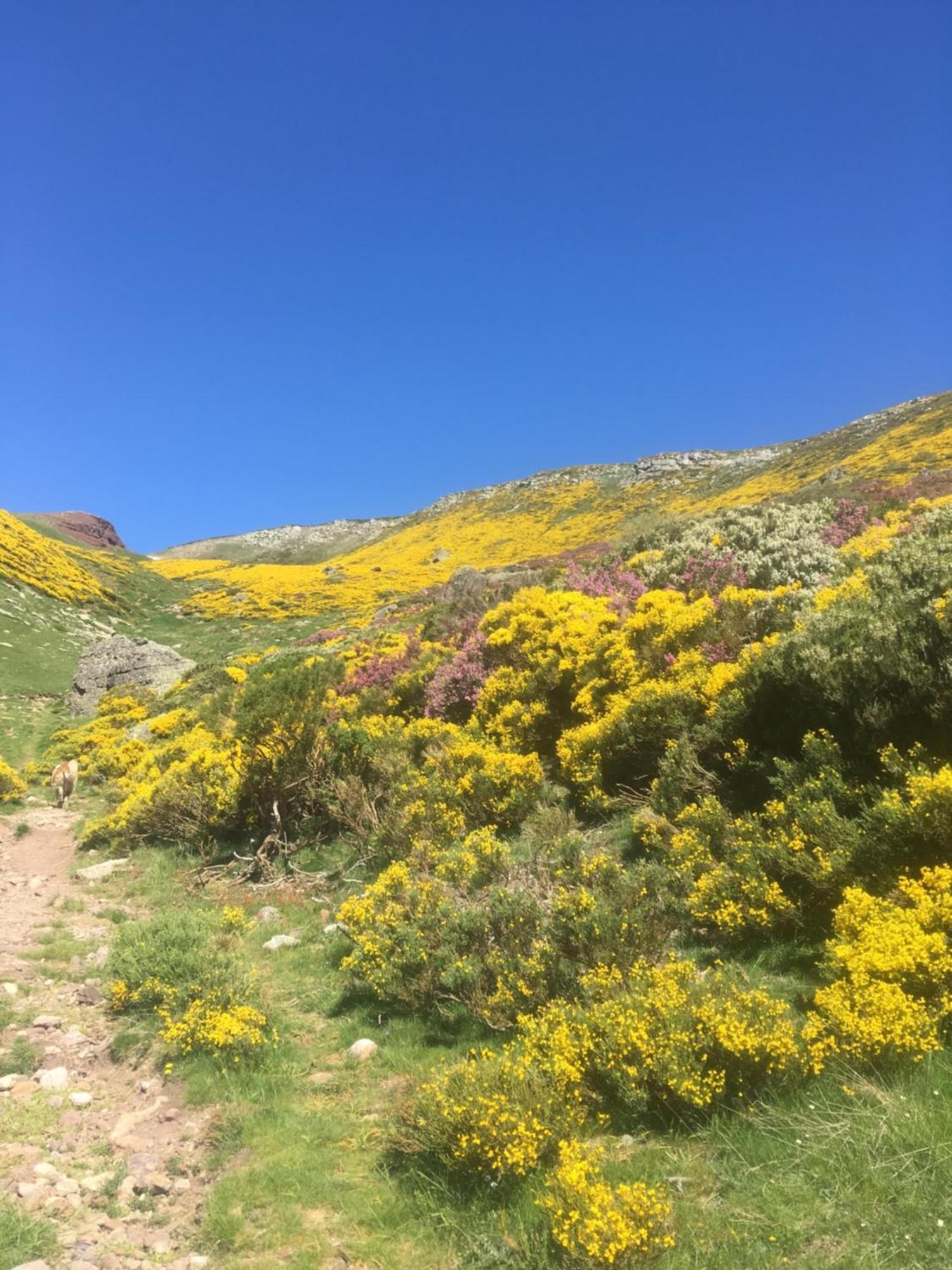 Chalet Chozos De La Braña Branosera