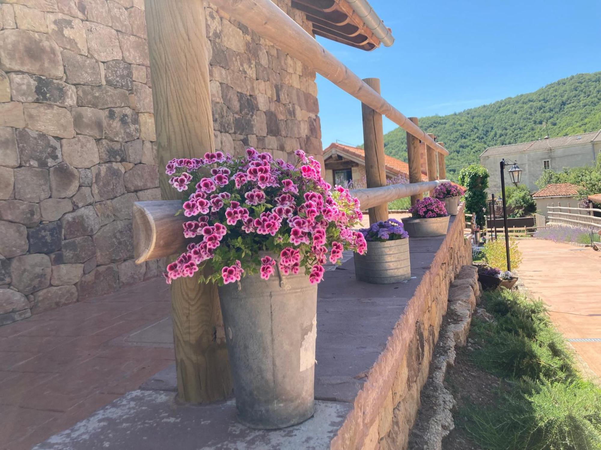 Chozos De La Braña Chalet *