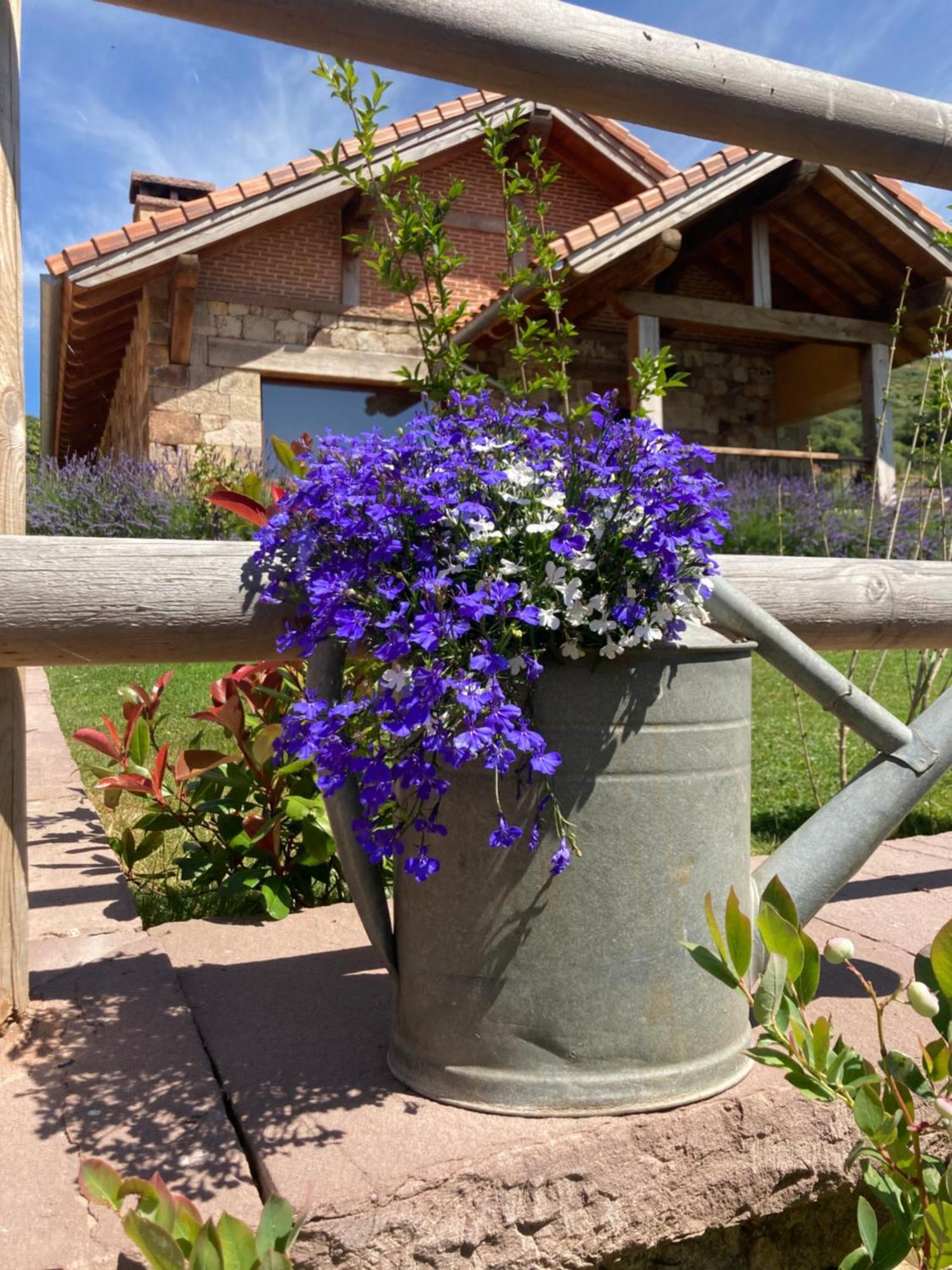 Chalet Chozos De La Braña *