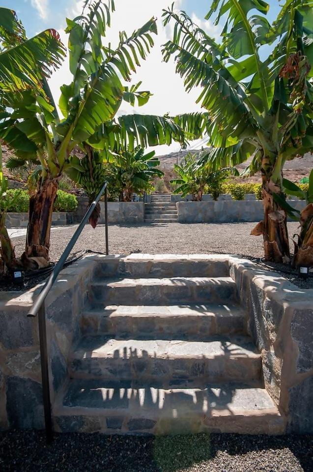 Jardín Del Norte