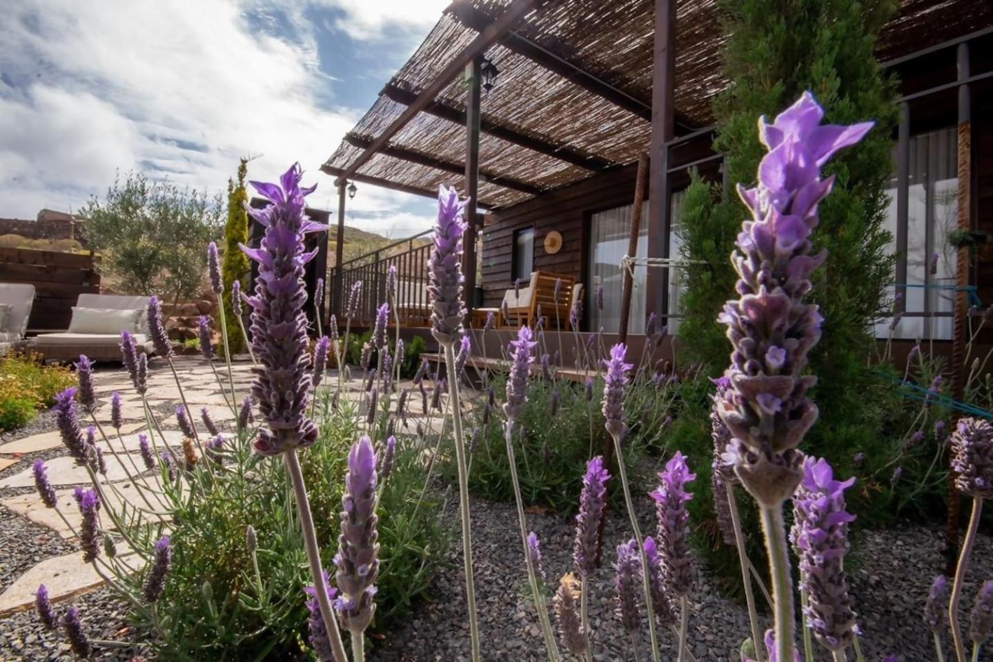 Сasa de vacaciones Jardín Del Norte Gáldar