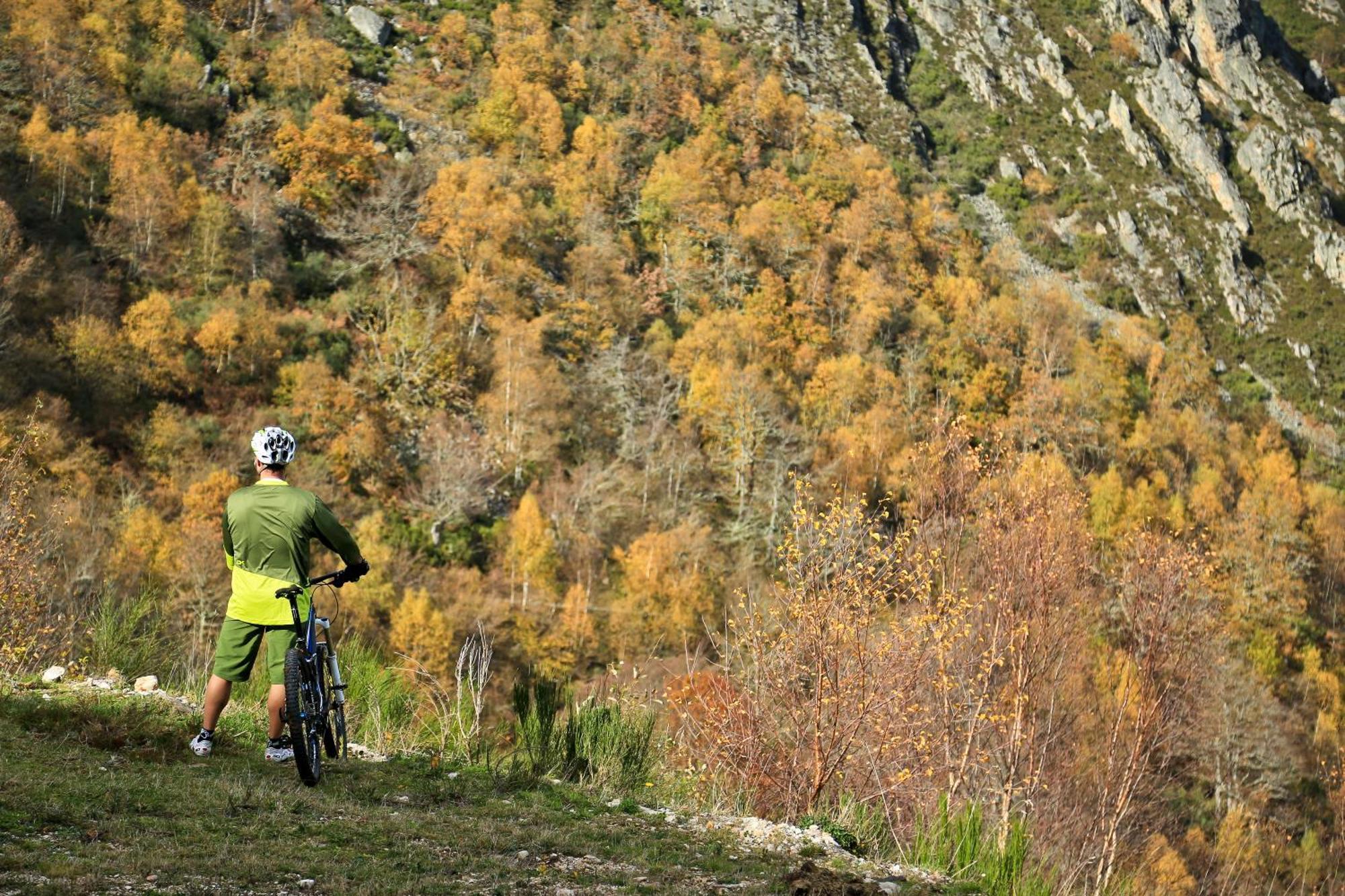 El Torreón Chalet *