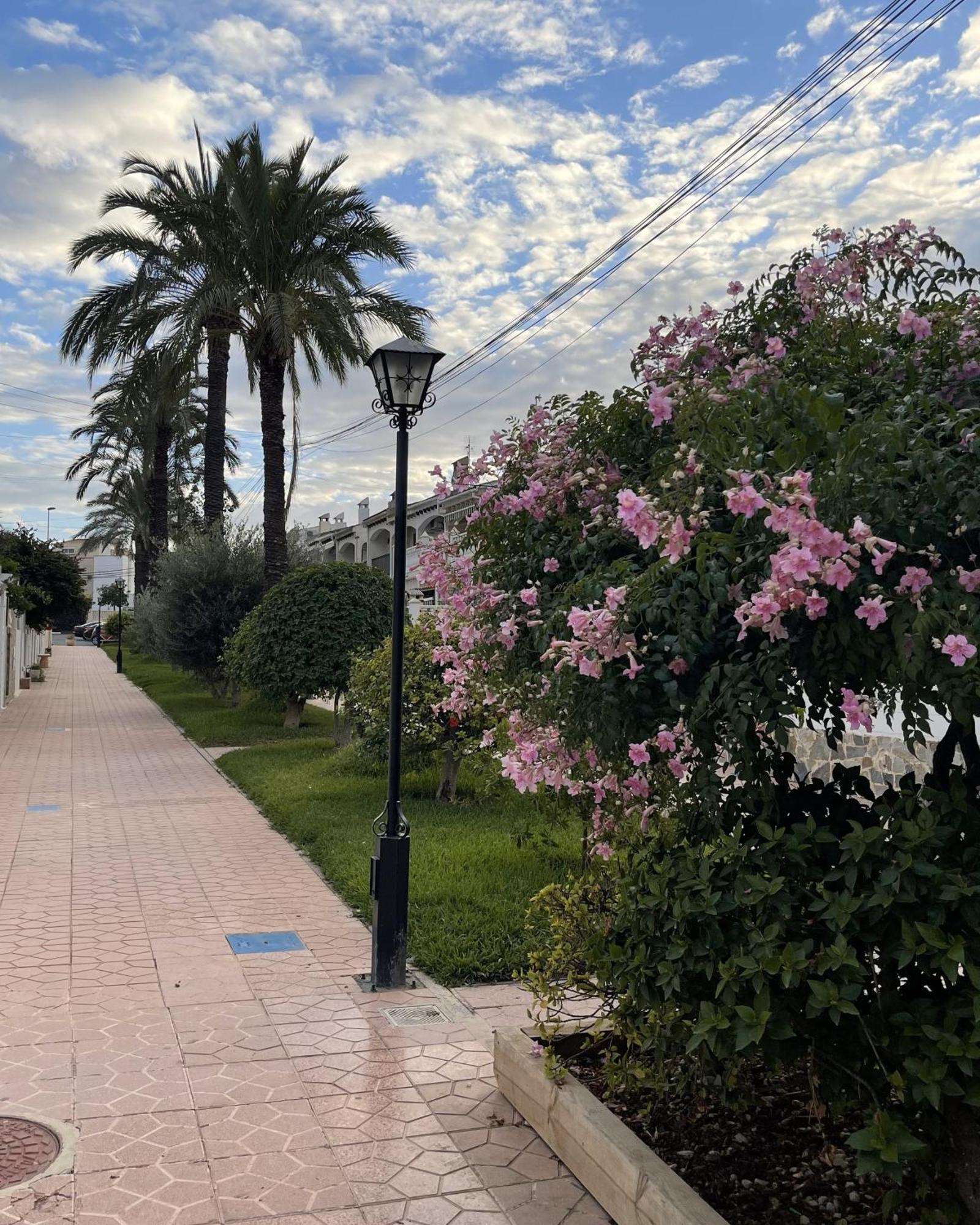 Cabrio -