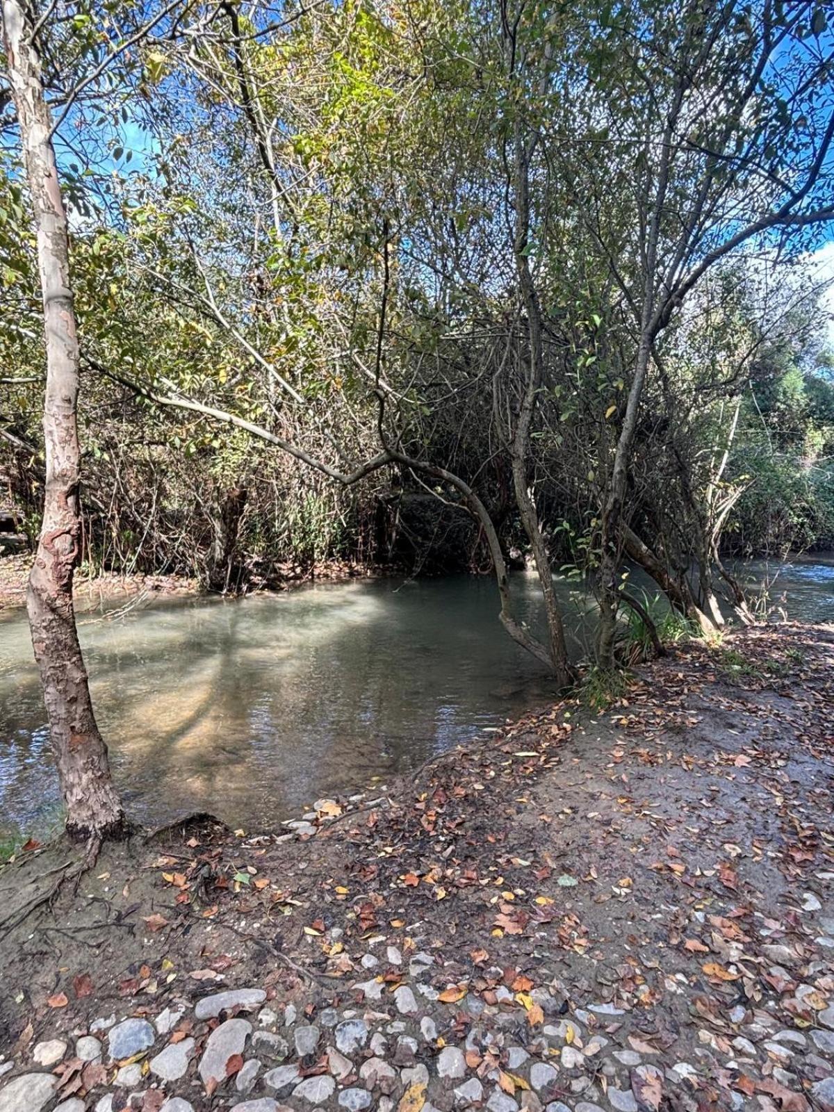 El Rincon De Higueras