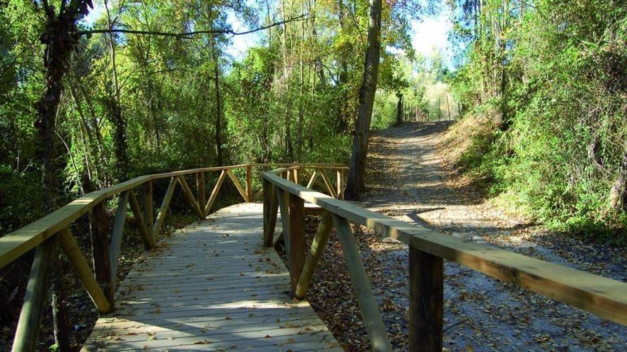 Apartamento El Rincon De Higueras El Bosque