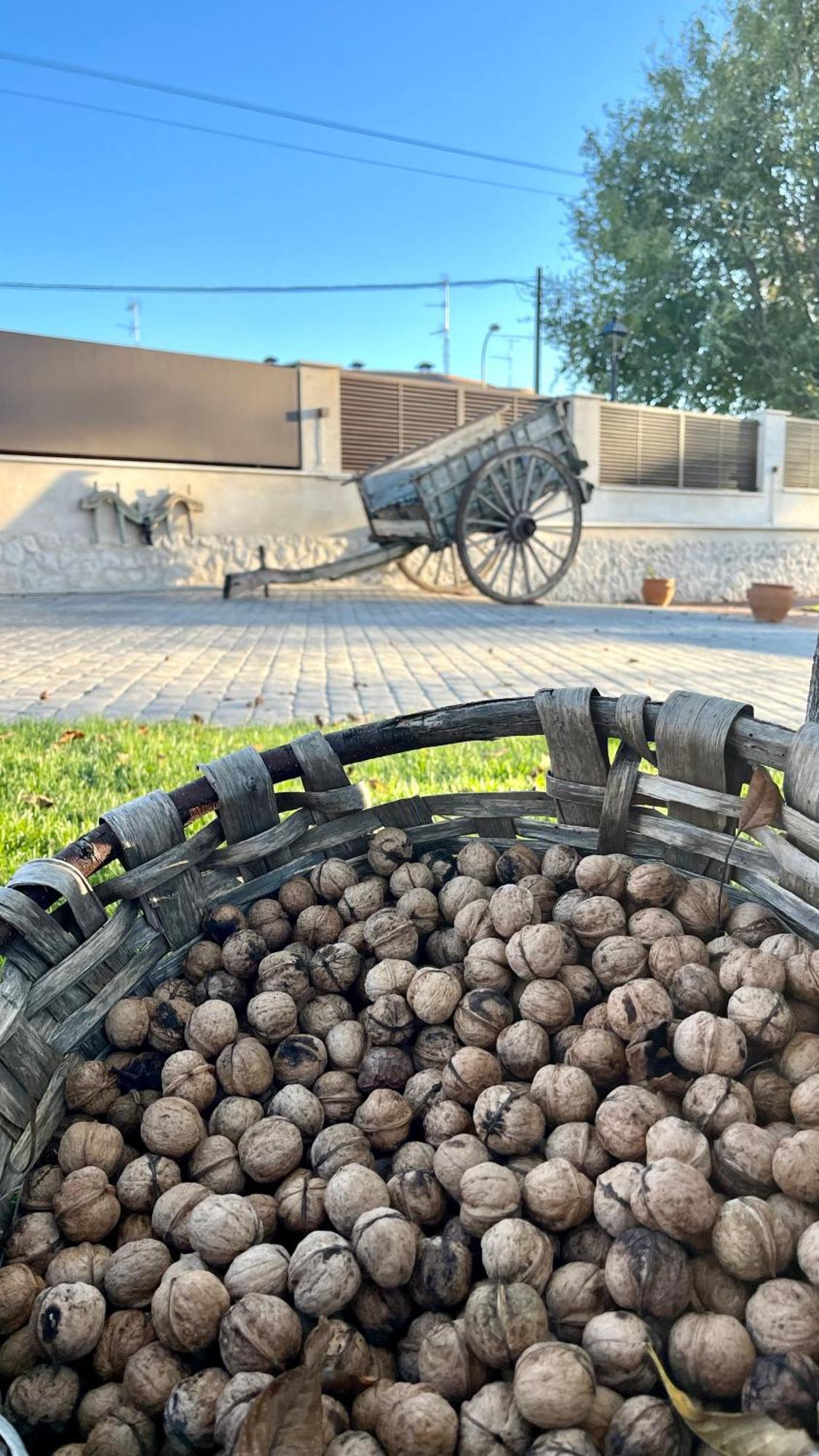 Camino Real * Pedrajas de San Esteban